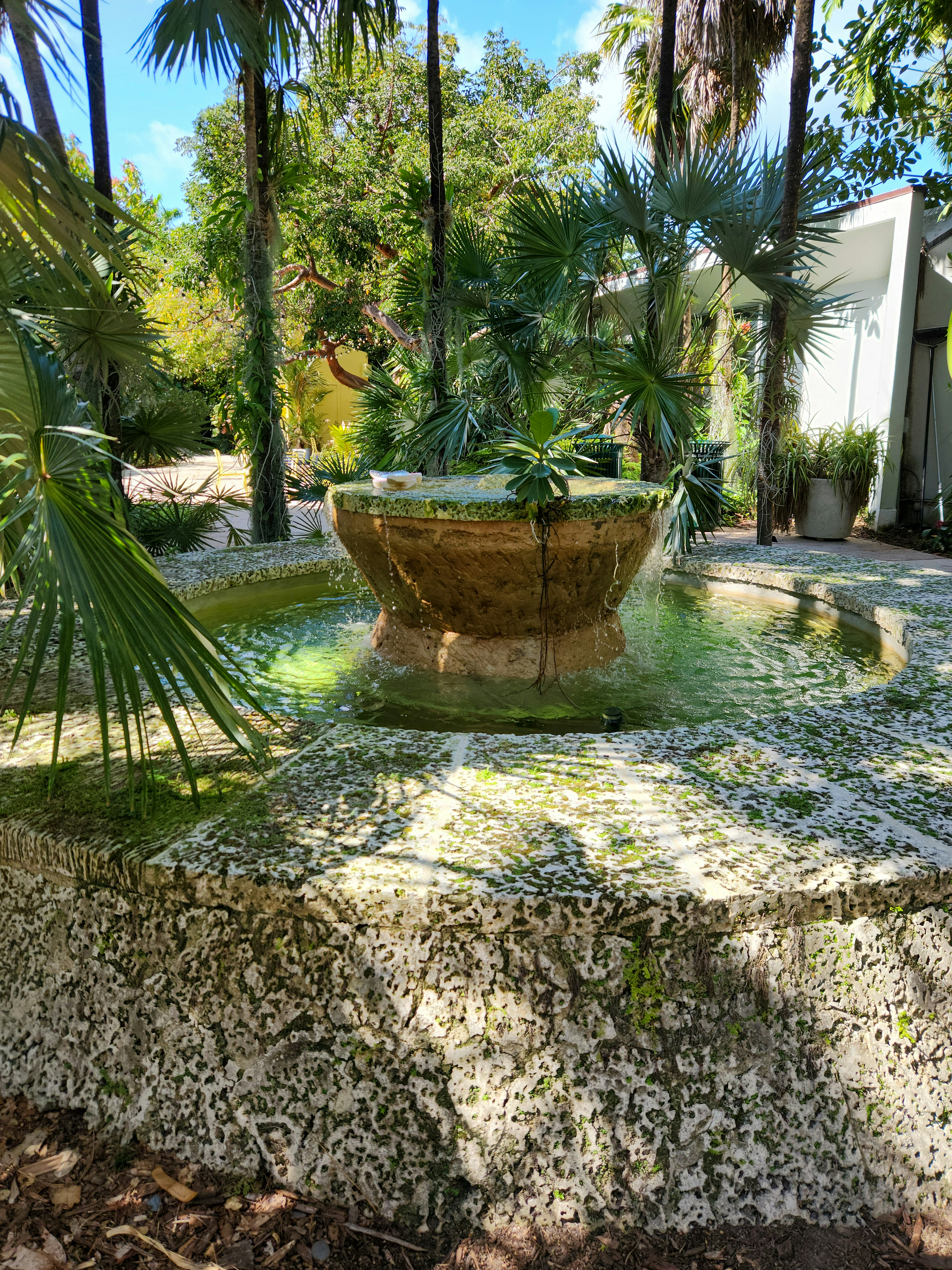A potted plant sitting on top of a rock