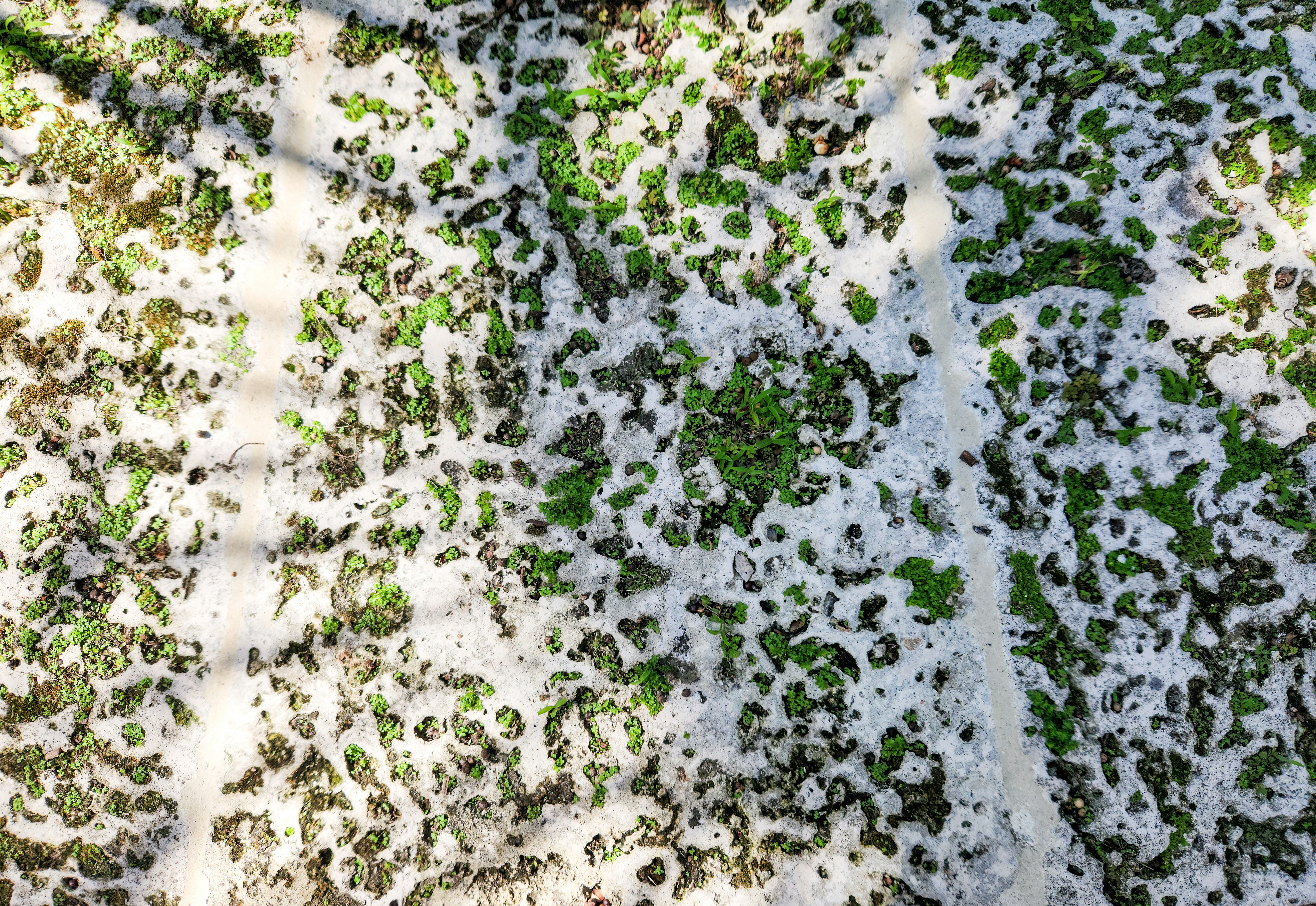 Photo by zoshuacolah