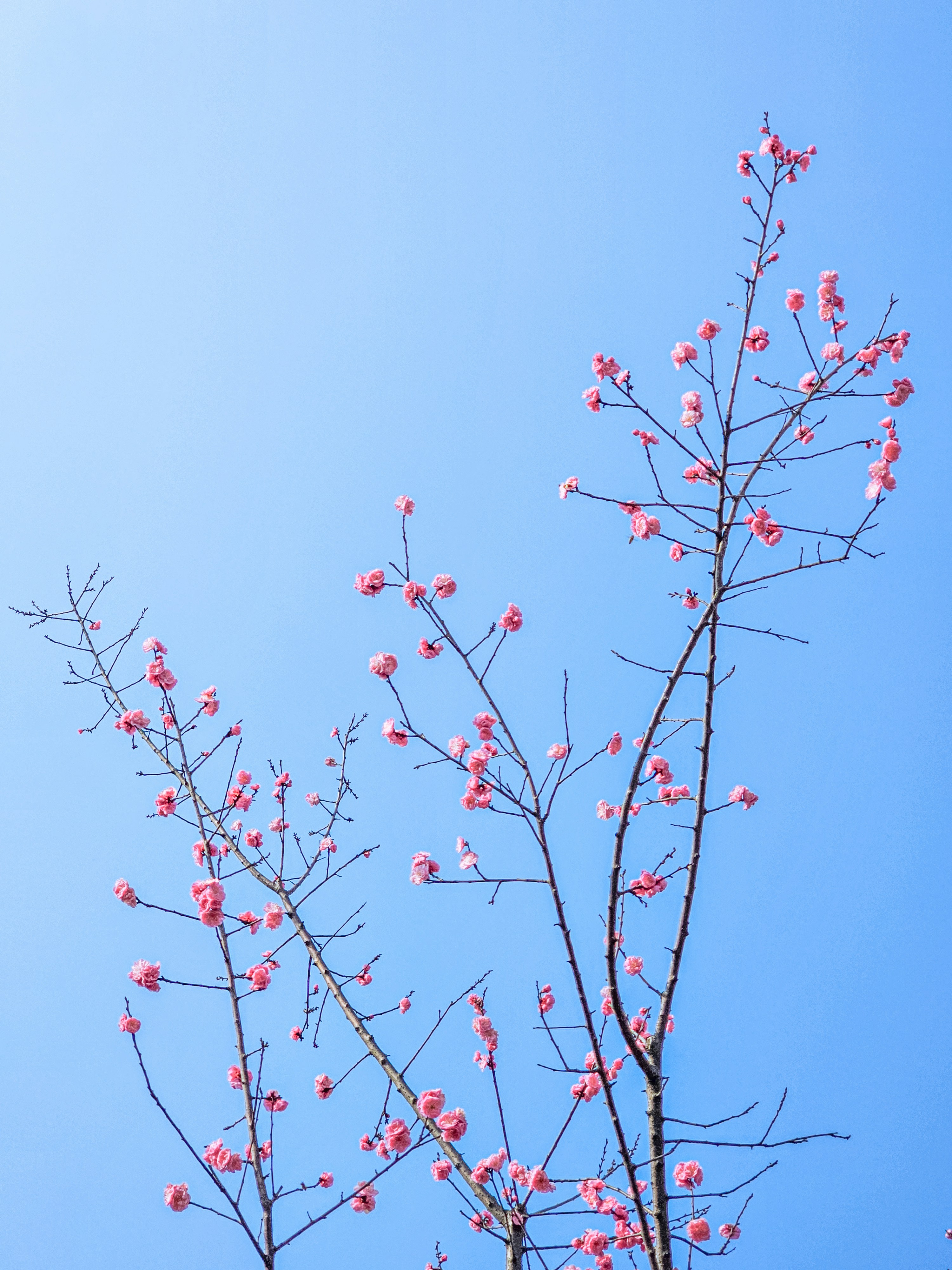 Photo by hypocriteeeee