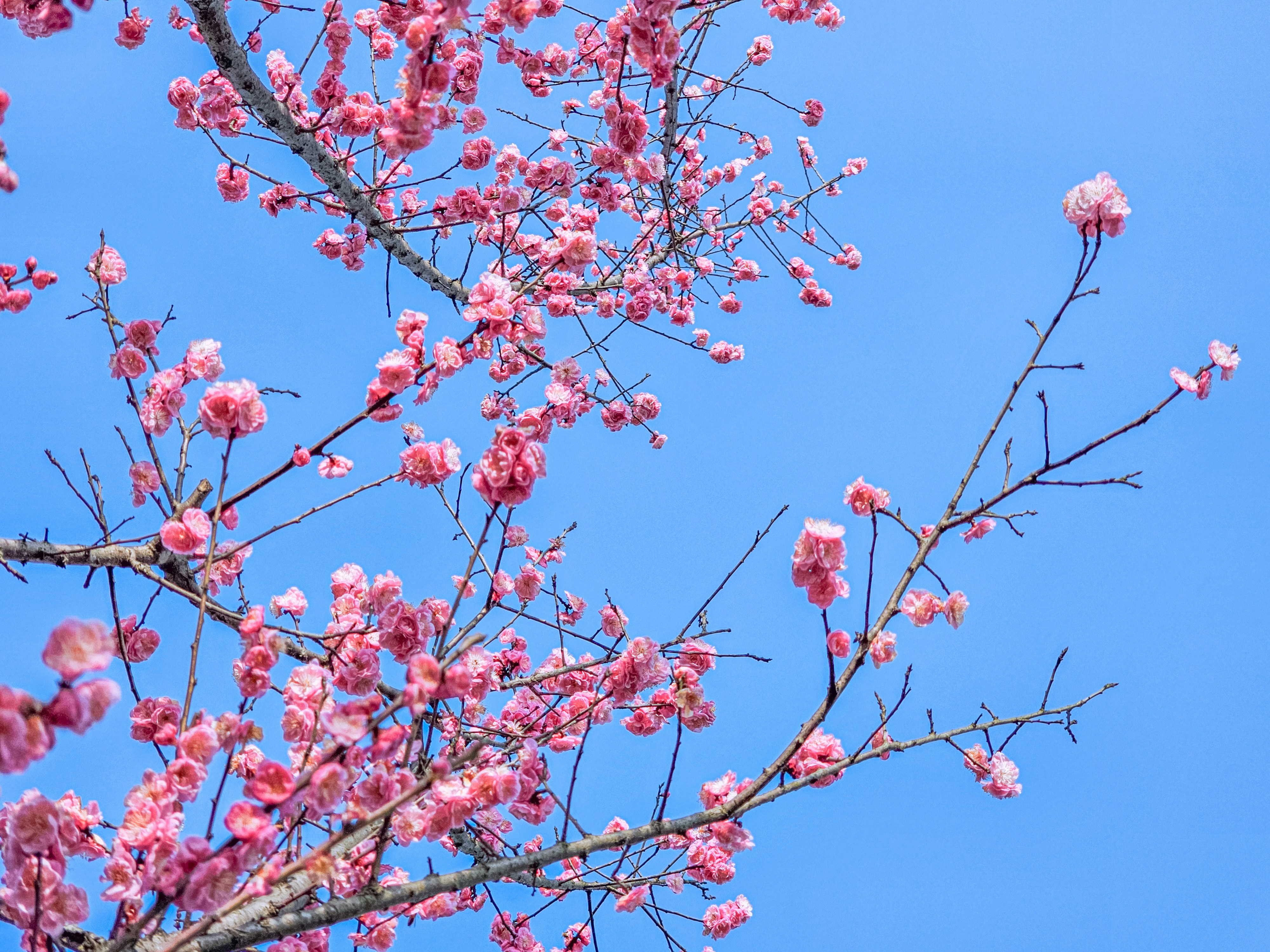 Photo by hypocriteeeee