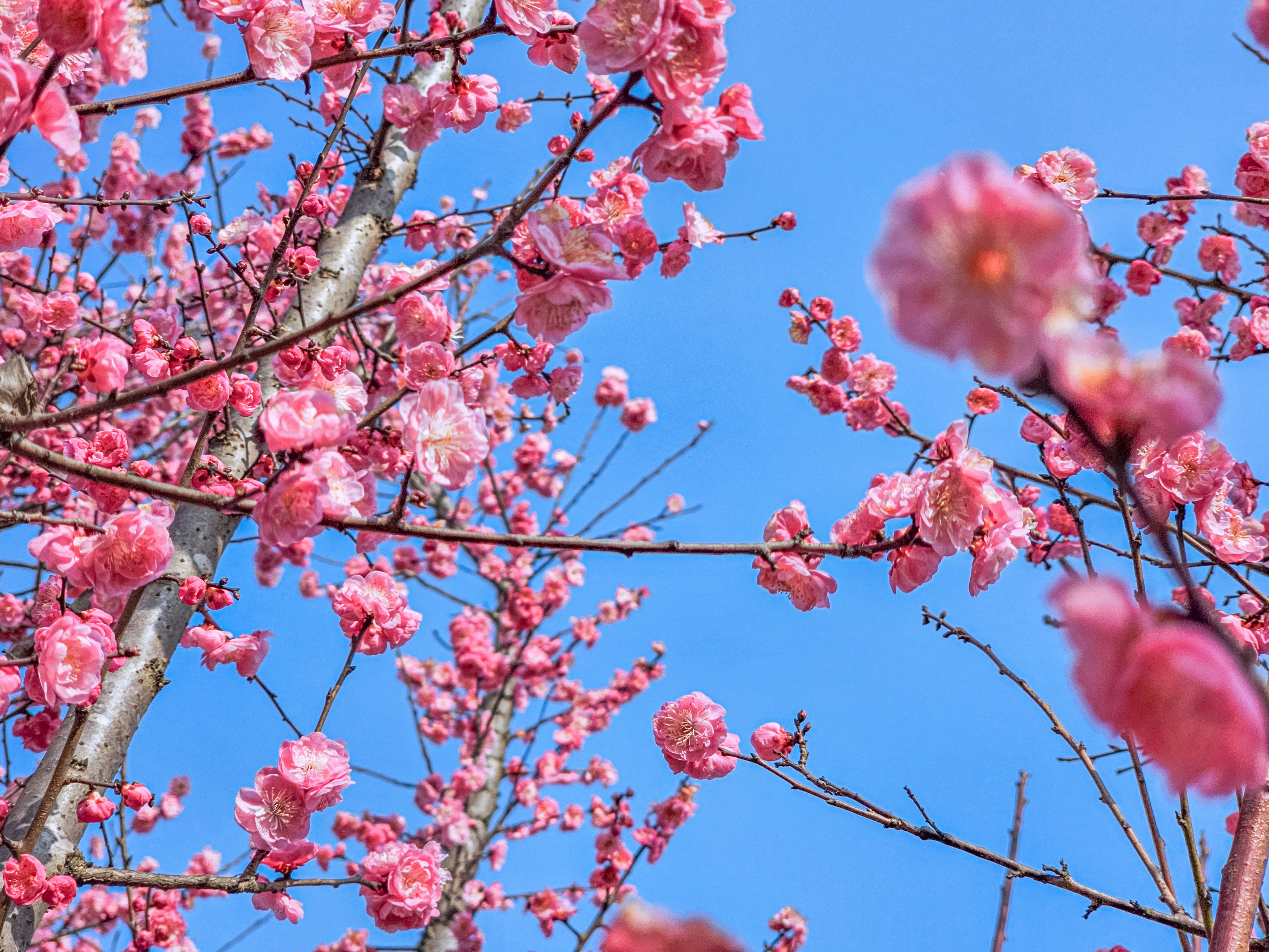 Photo by hypocriteeeee