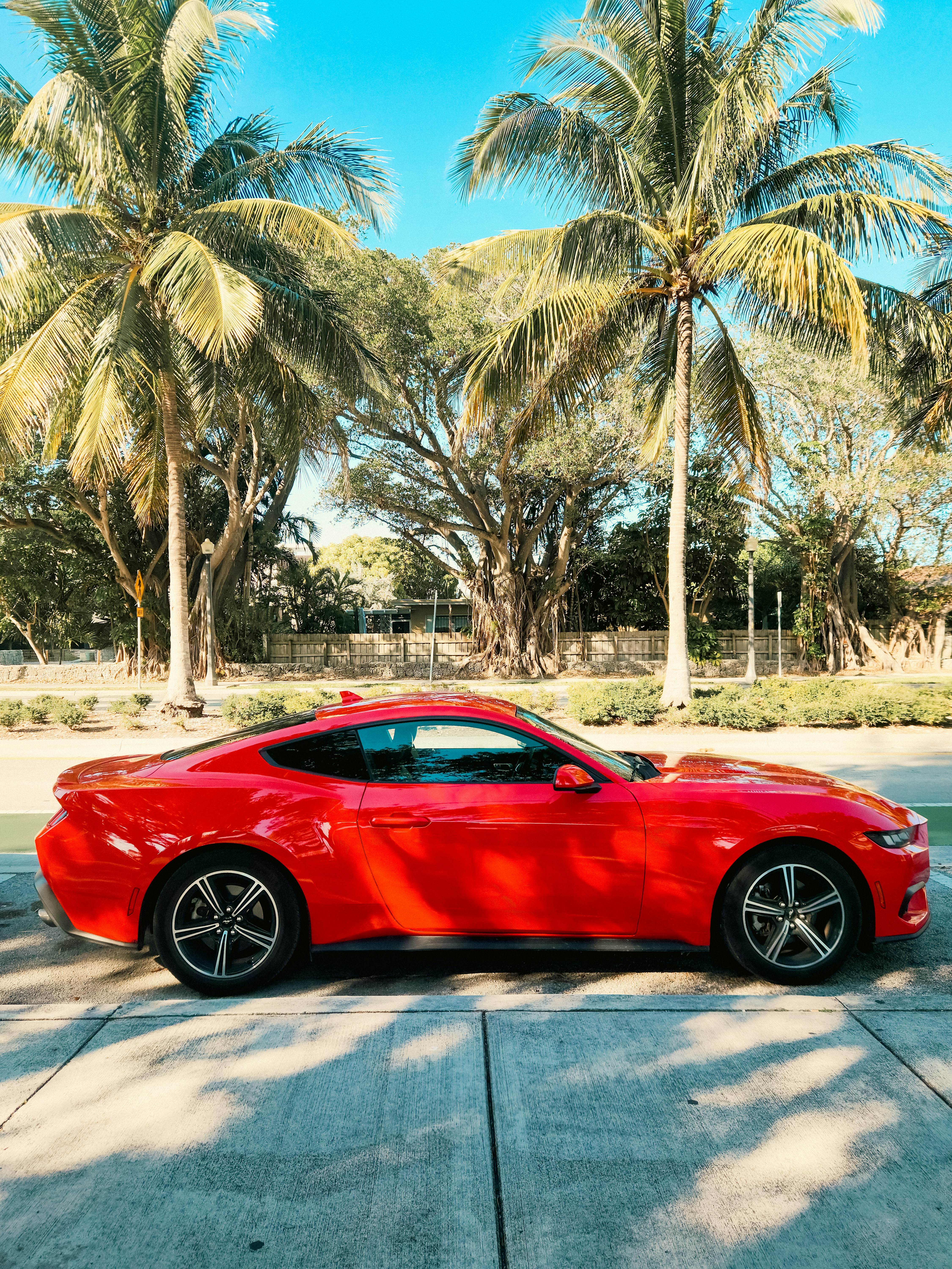 Photo by zoshuacolah