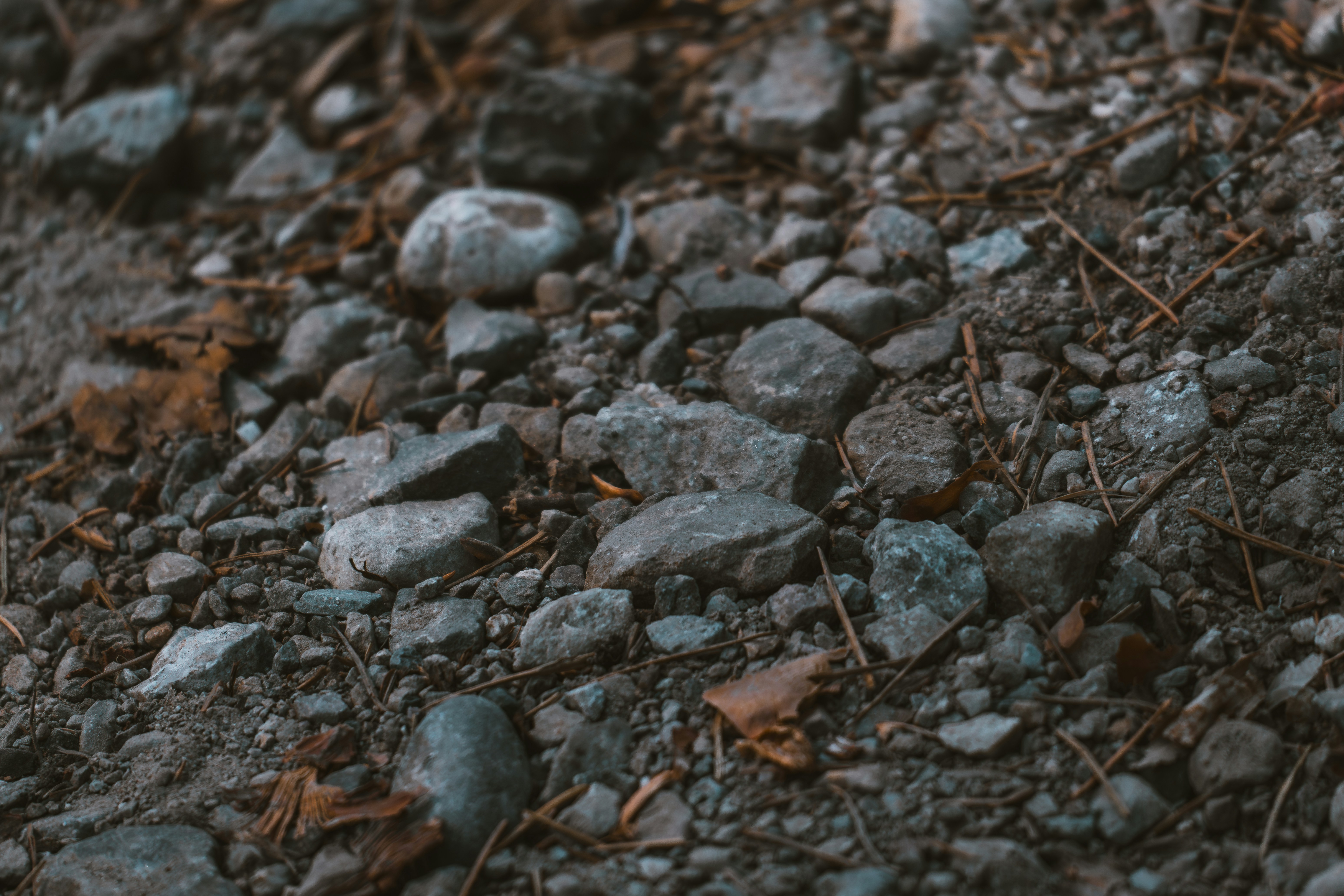 Photo by berserkdhanraj