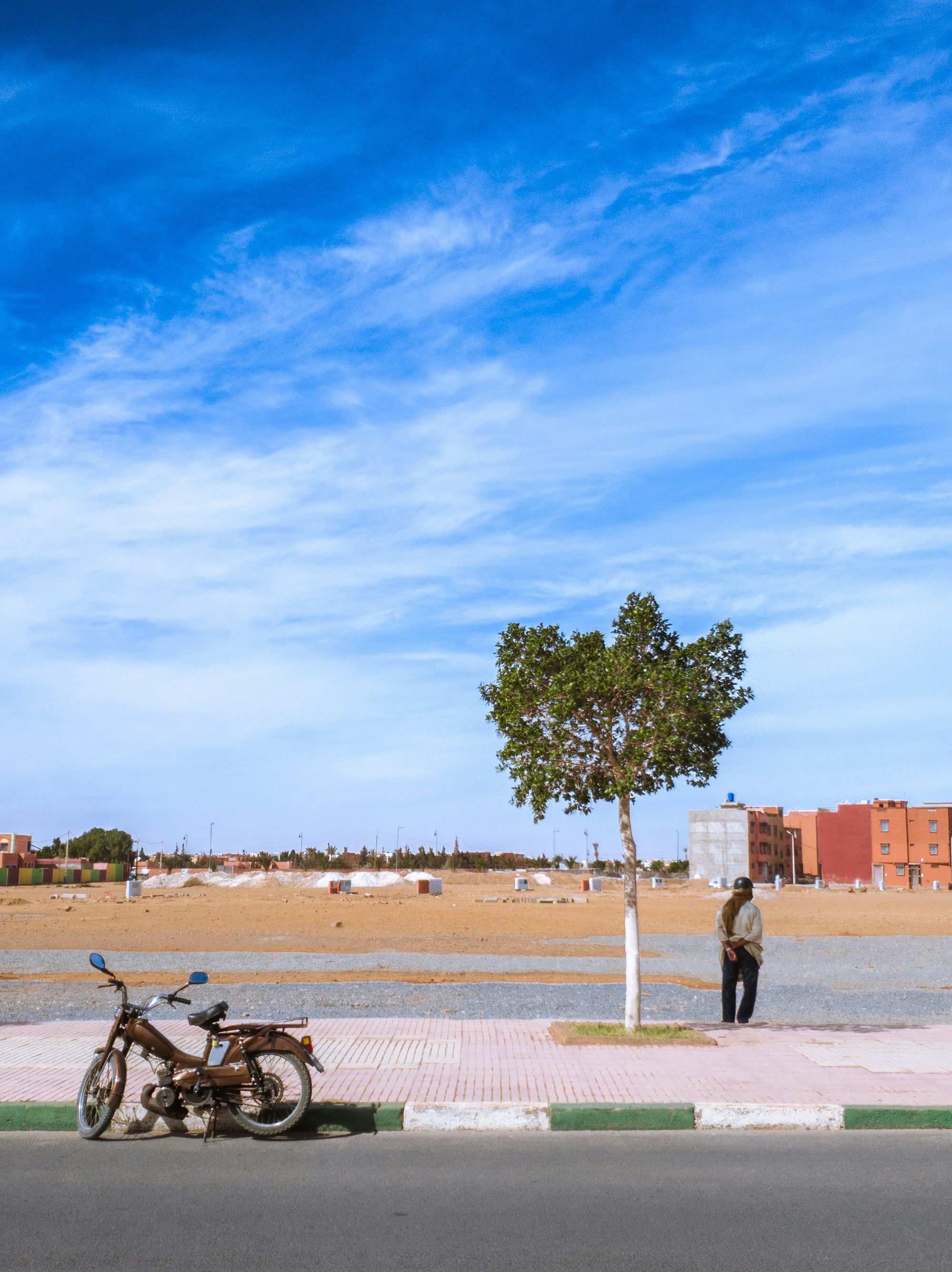 A Greener Tomorrow: Join Us in Morocco’s Nationwide Tree Planting Campaign