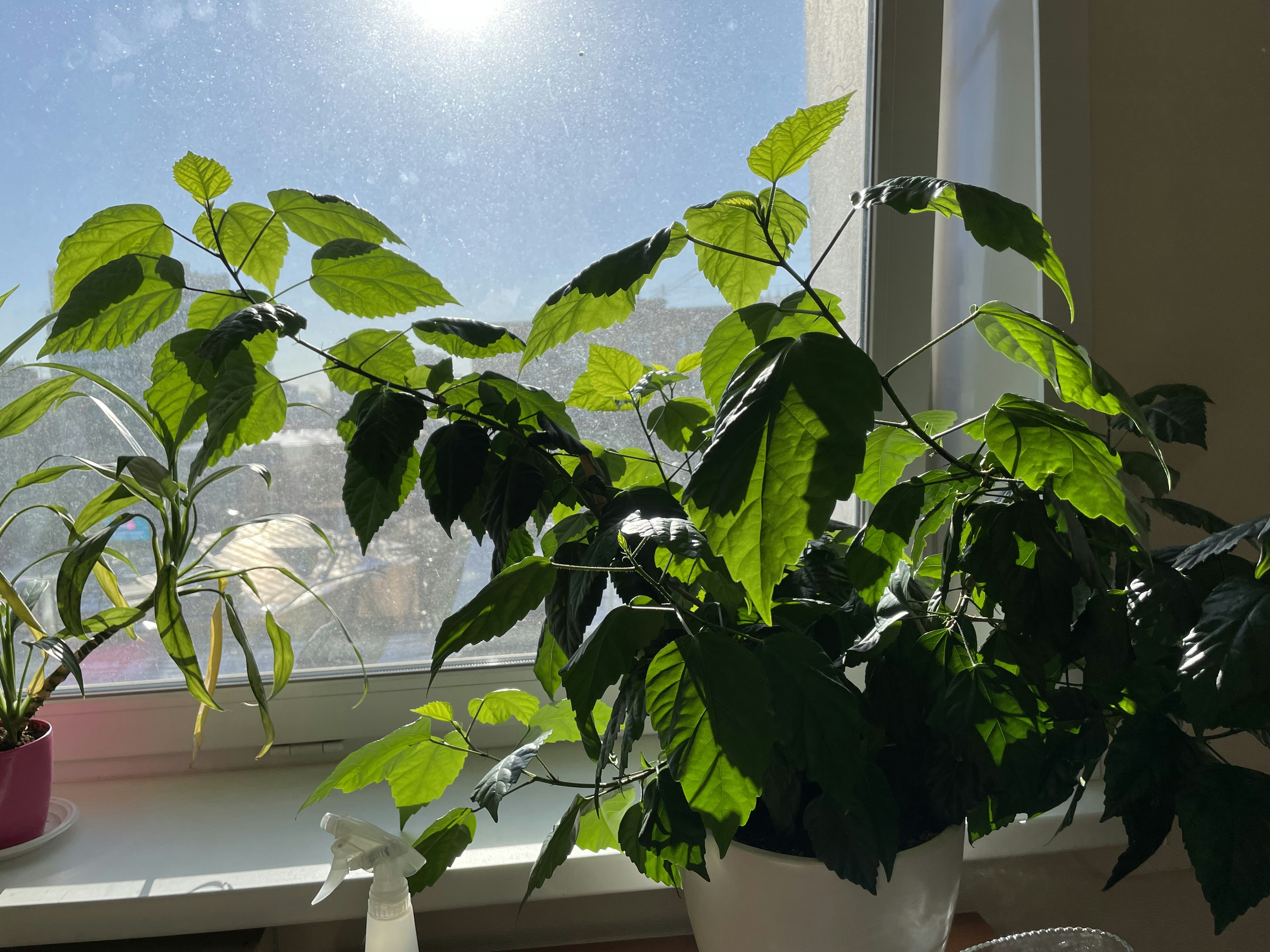 Photo by pavel_seleznev