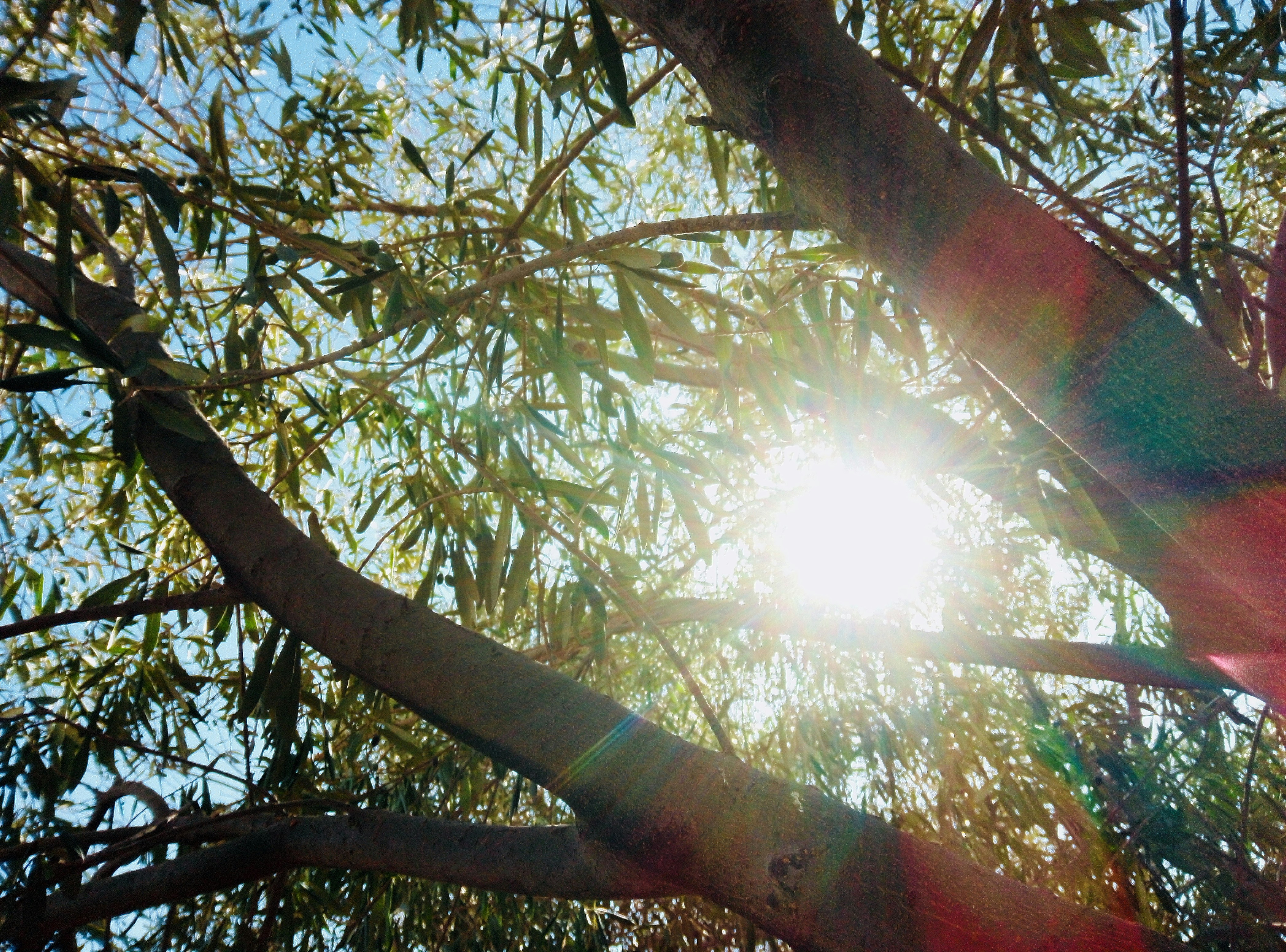 Photo by badraalbudour