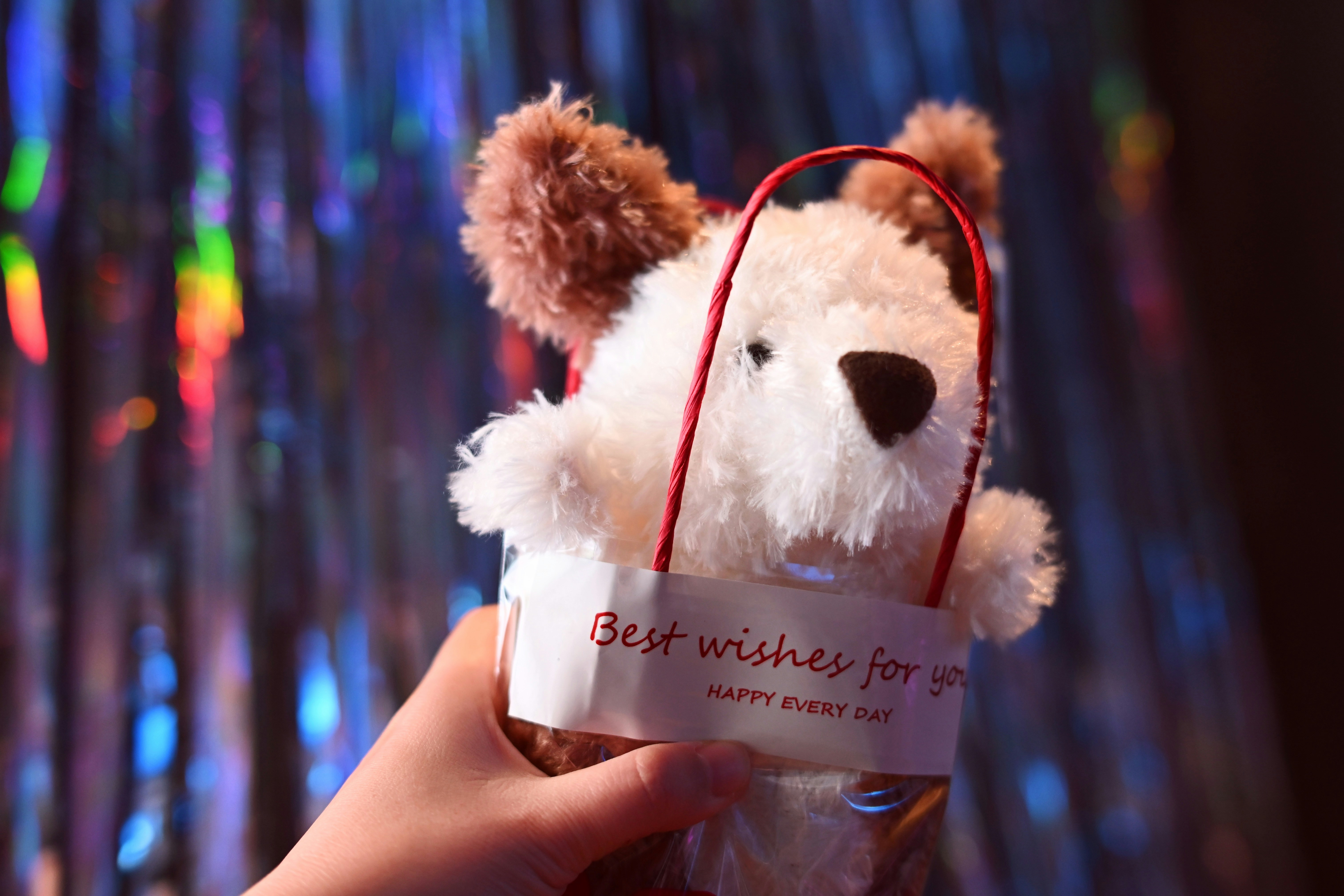 Free Stuffed Animal Adoption Certificate: How to Create the Perfect Printable