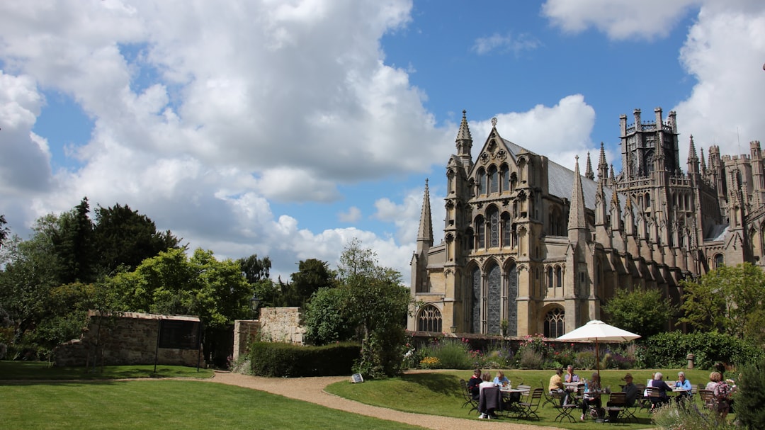 A. Vogel Echinaforce Junior 90 츄어블 정