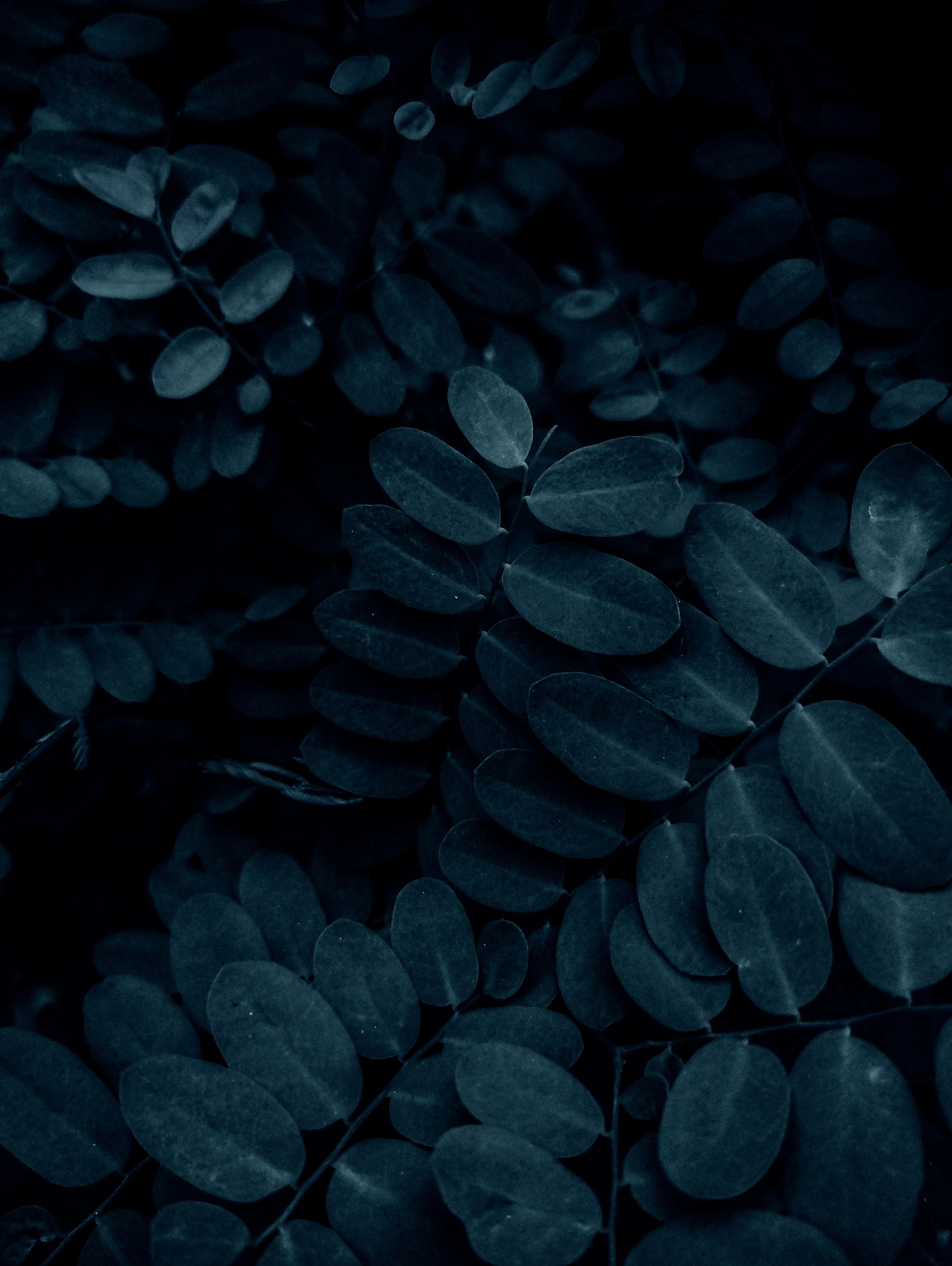 Photo by true_reflection_s