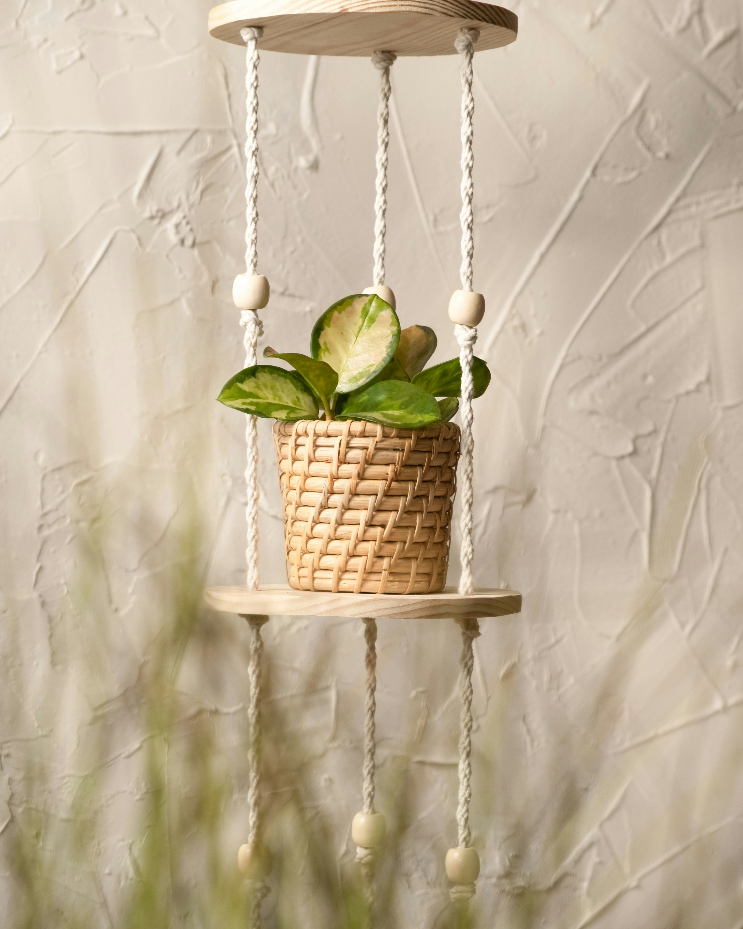 Photo by feeypflanzen