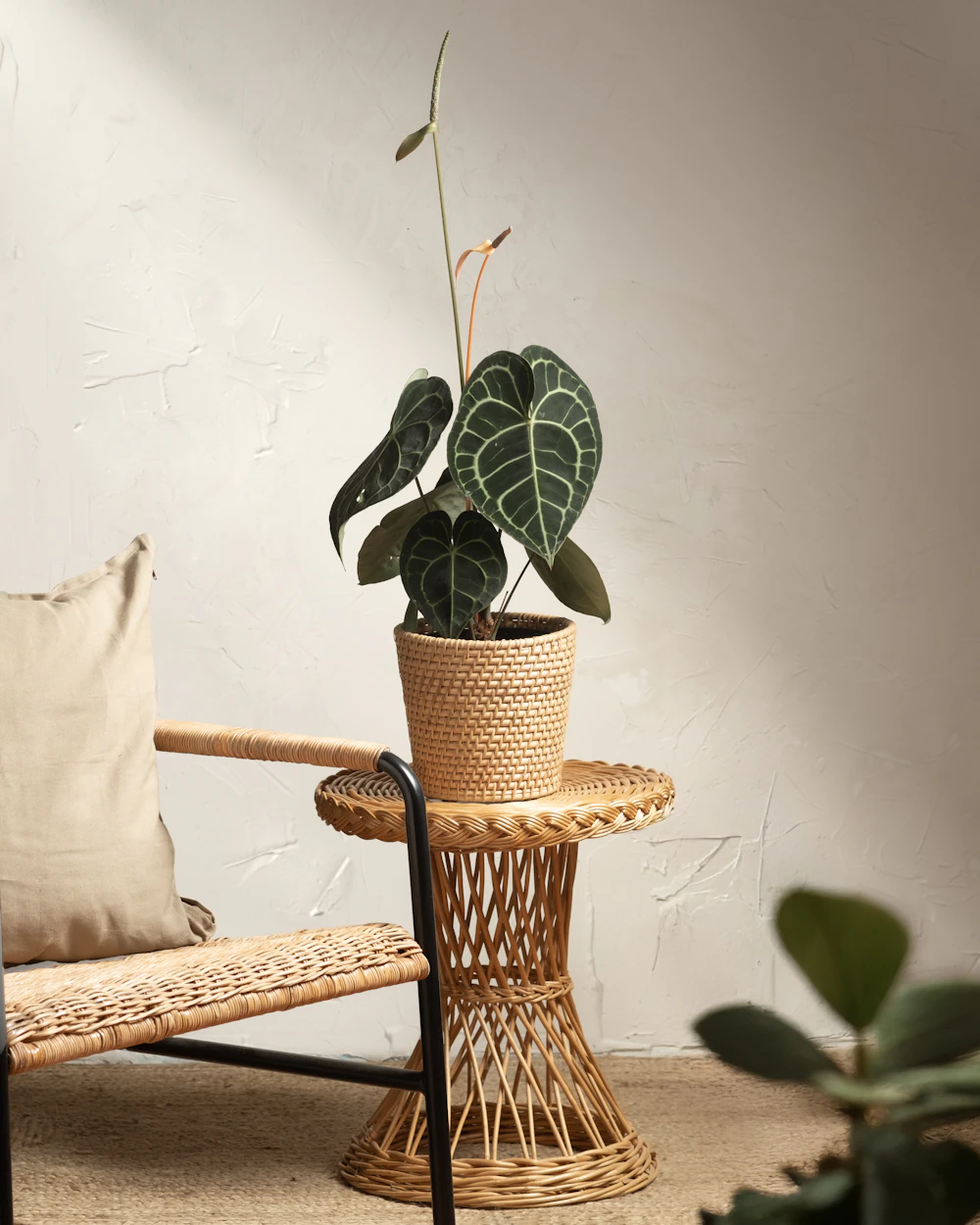 Woven Rattan Plant Side Table