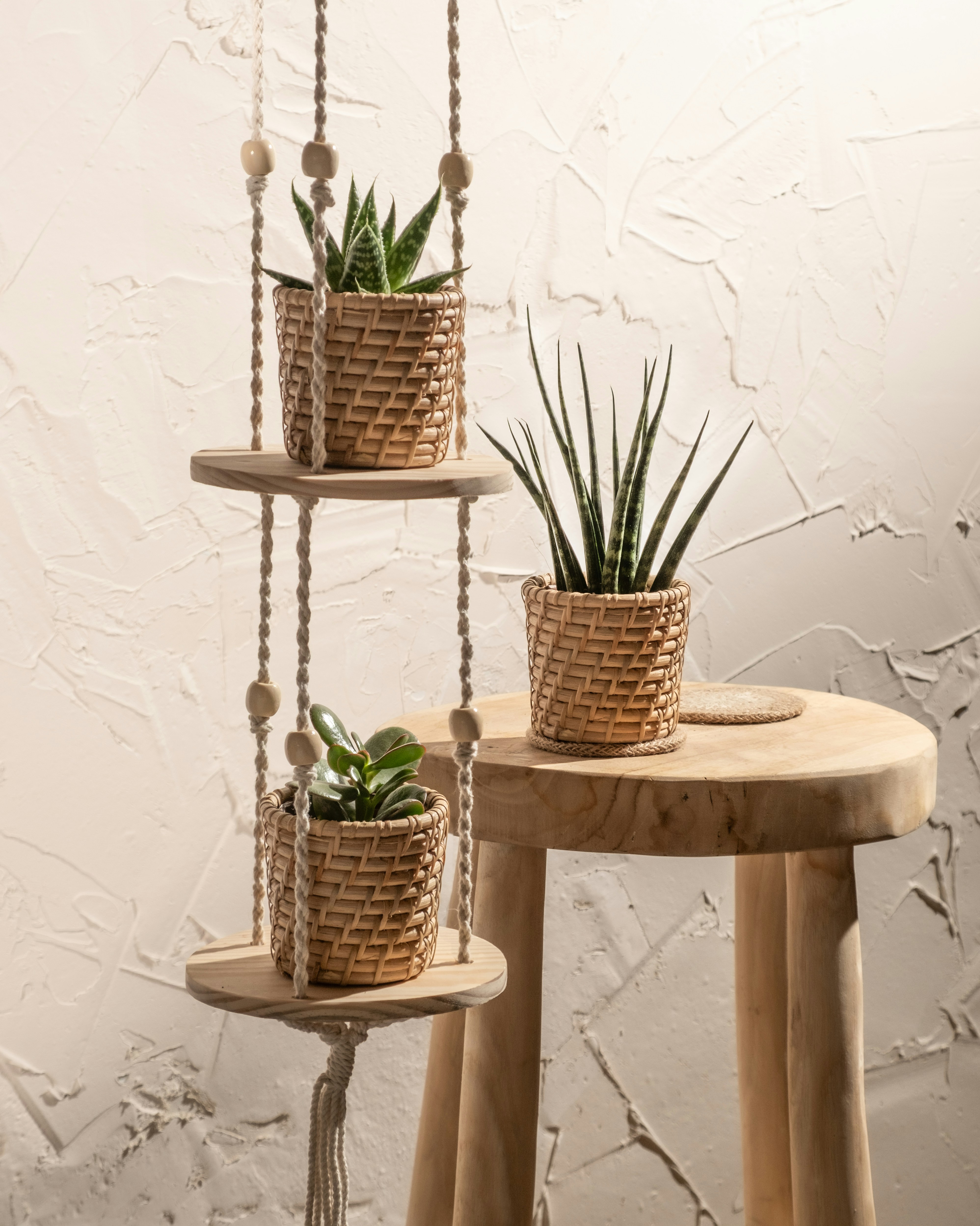 Photo by feeypflanzen