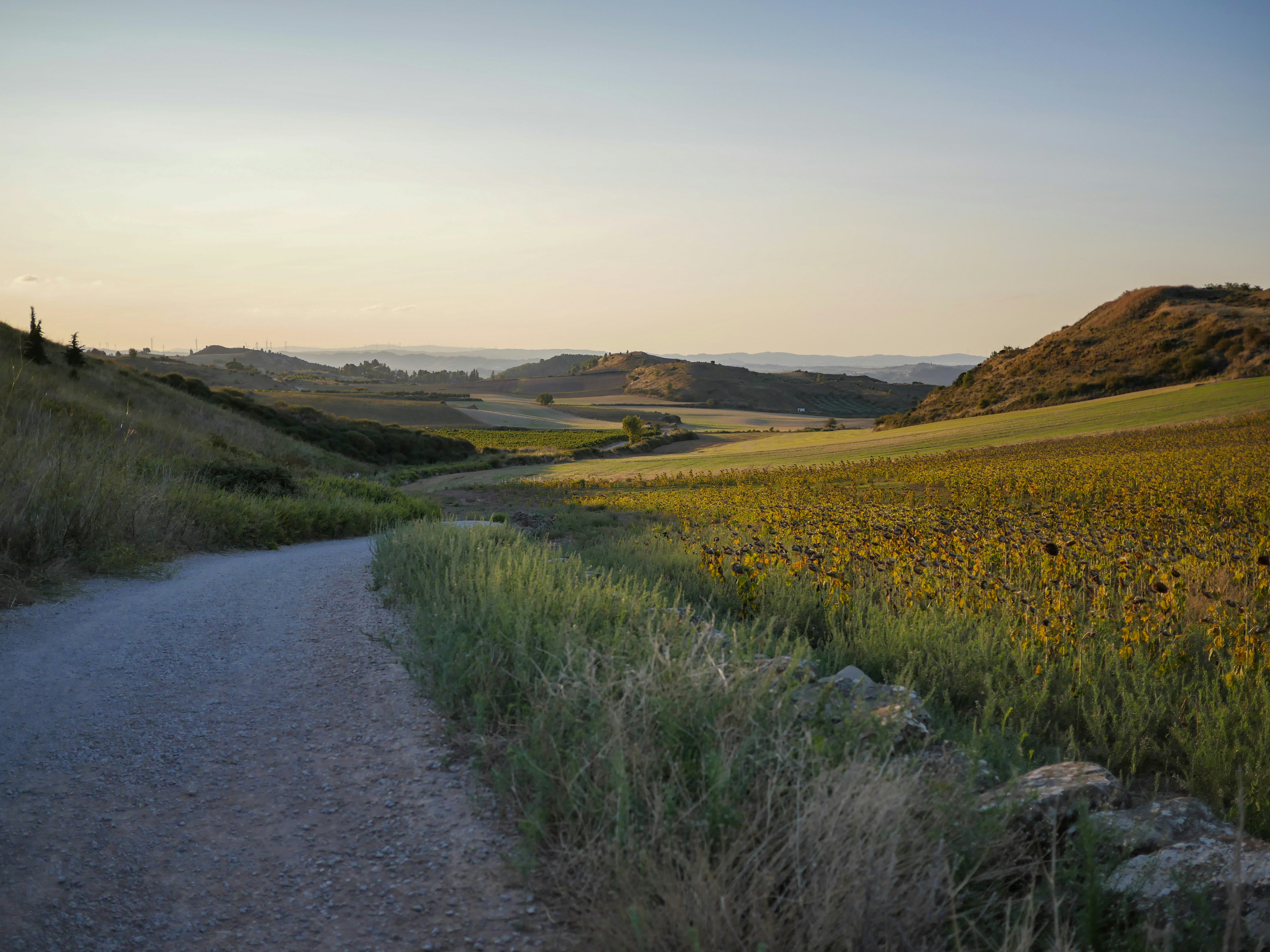 Photo by matthieuharreau