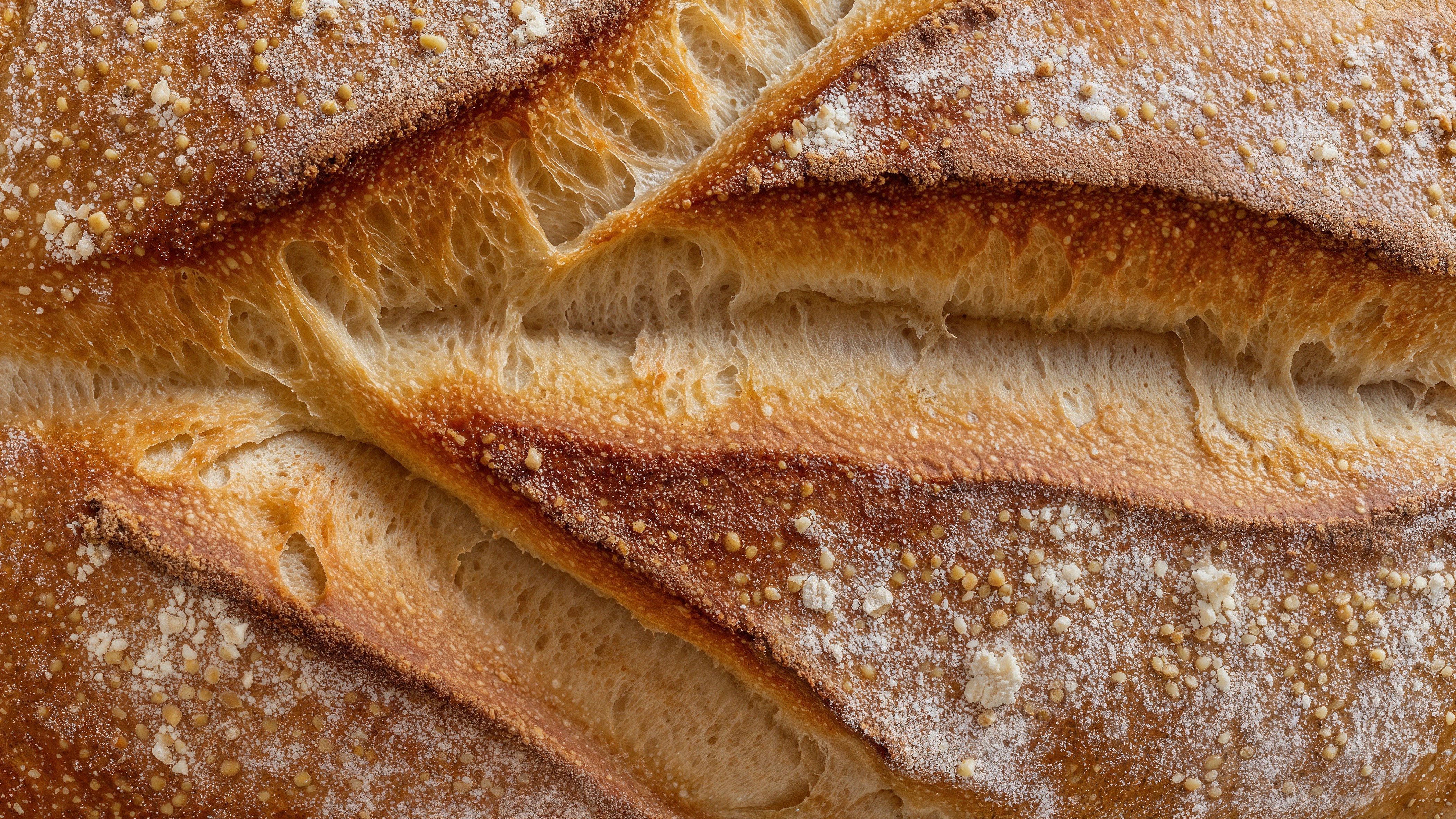 8 Tips To Enhance Your Window Replacement Game