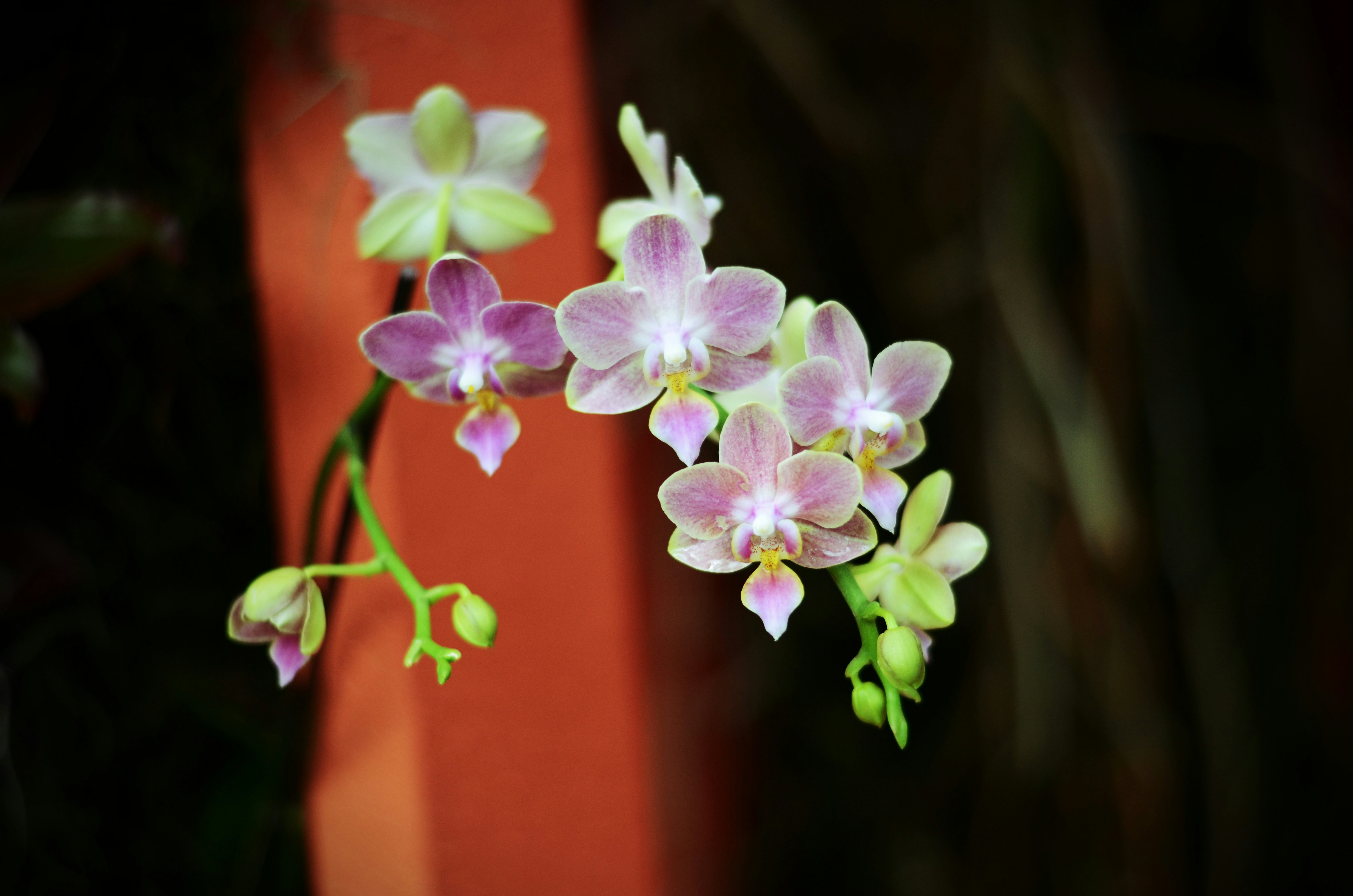 Photo by kry_lyte333