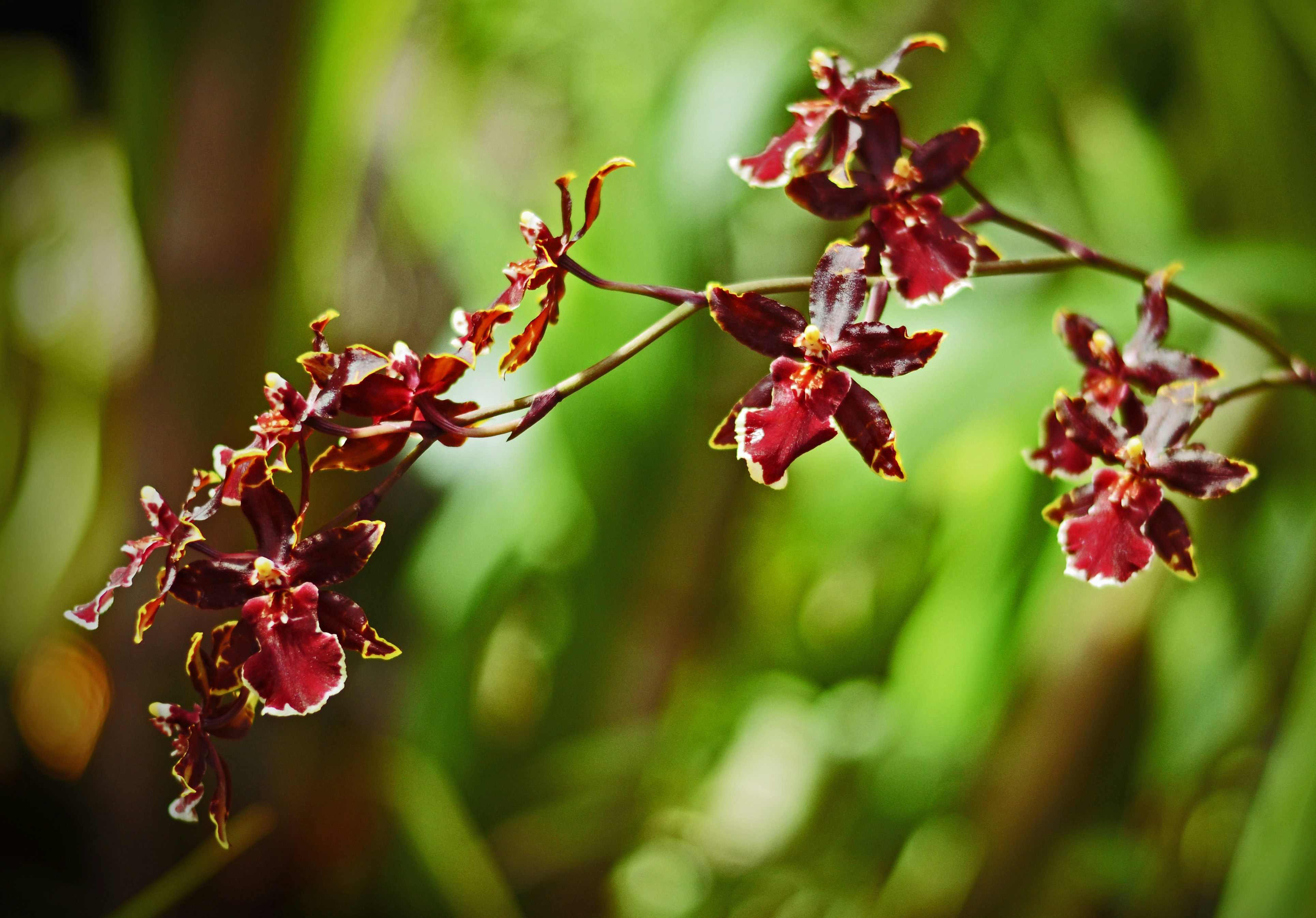 Photo by kry_lyte333