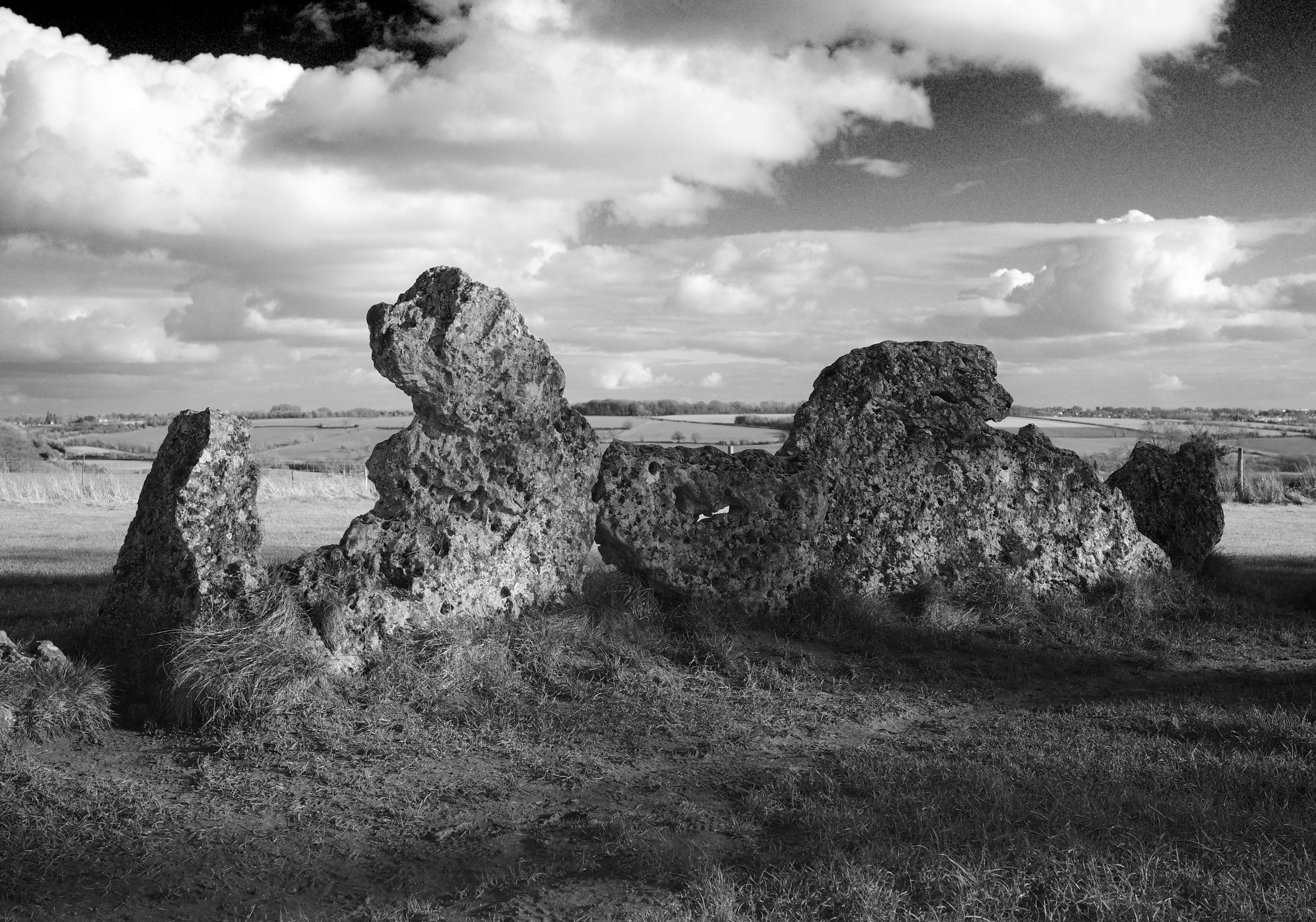 Photo by tomasrobertson