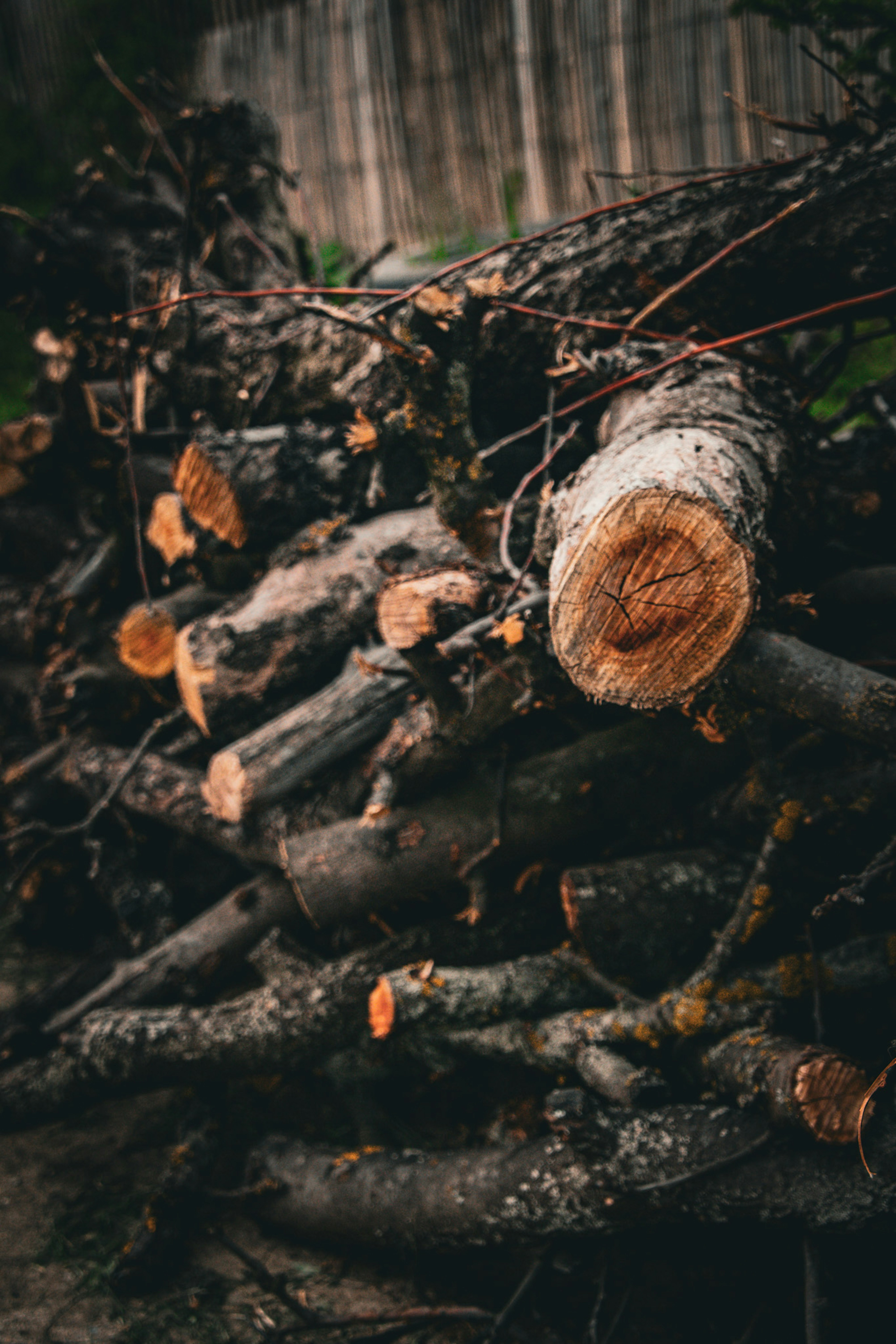 A pile of logs sitting next to a wooden fence