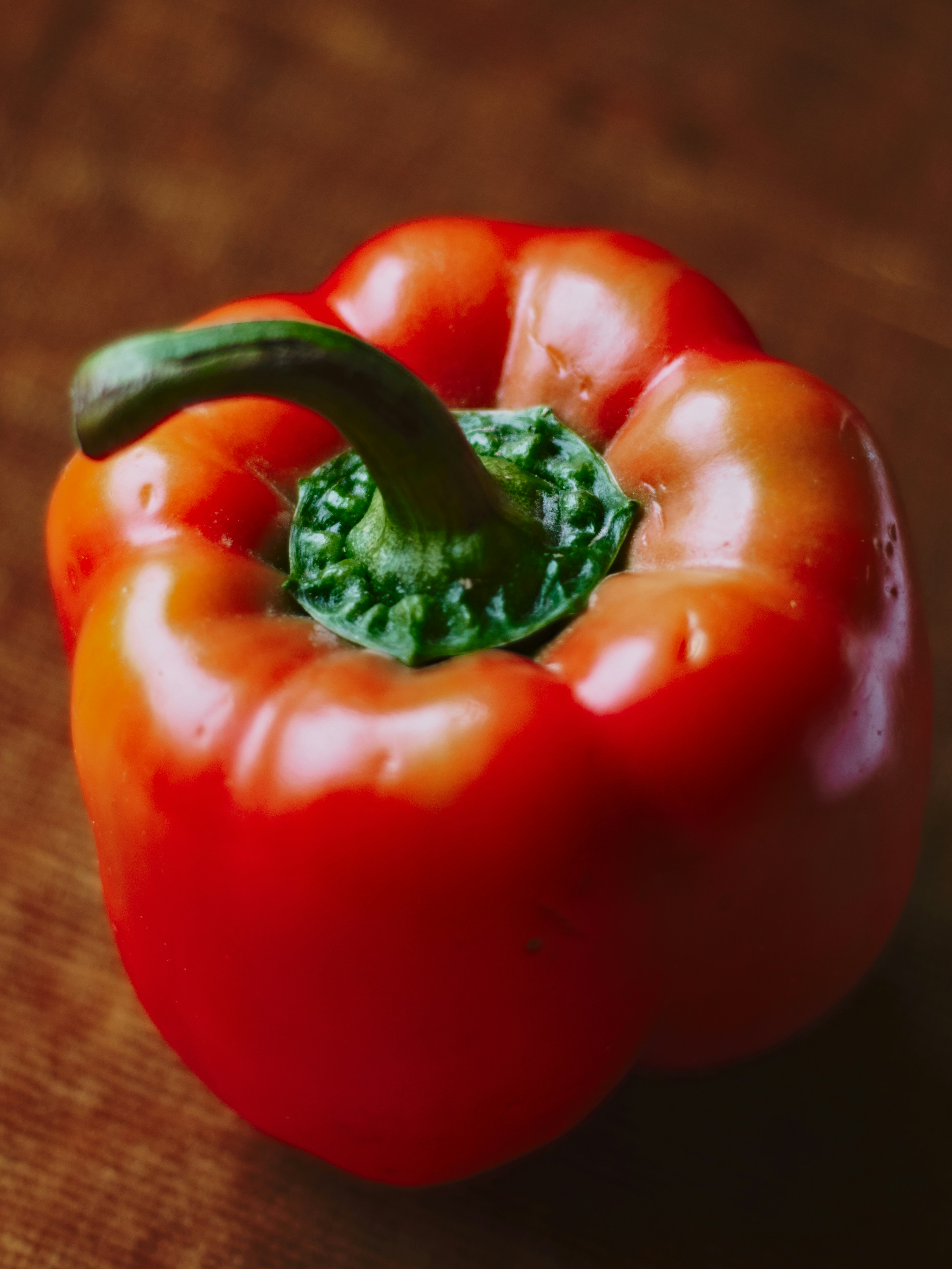 Photo by naderayman_photography