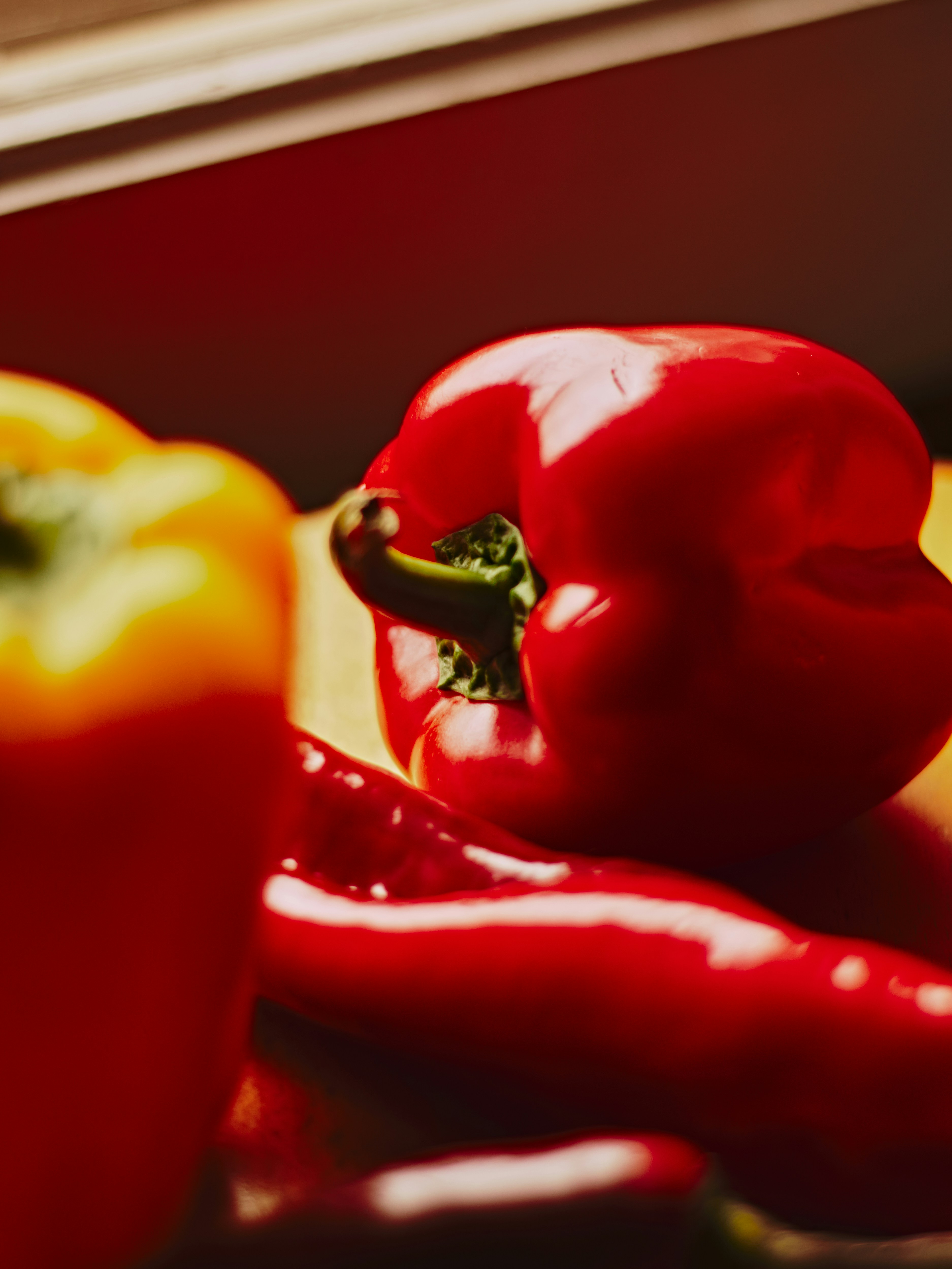 Photo by naderayman_photography