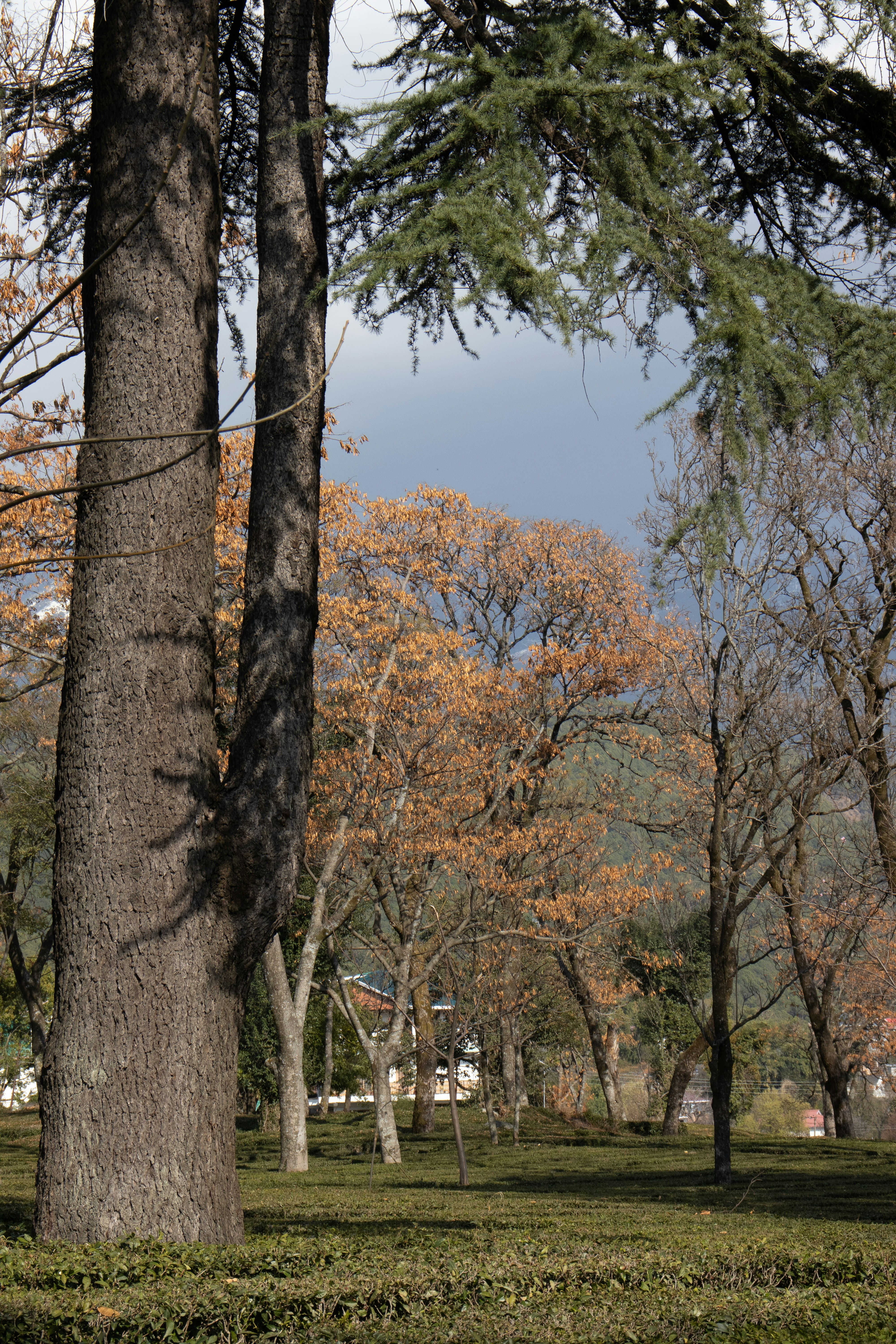 Photo by akshat_jhingran