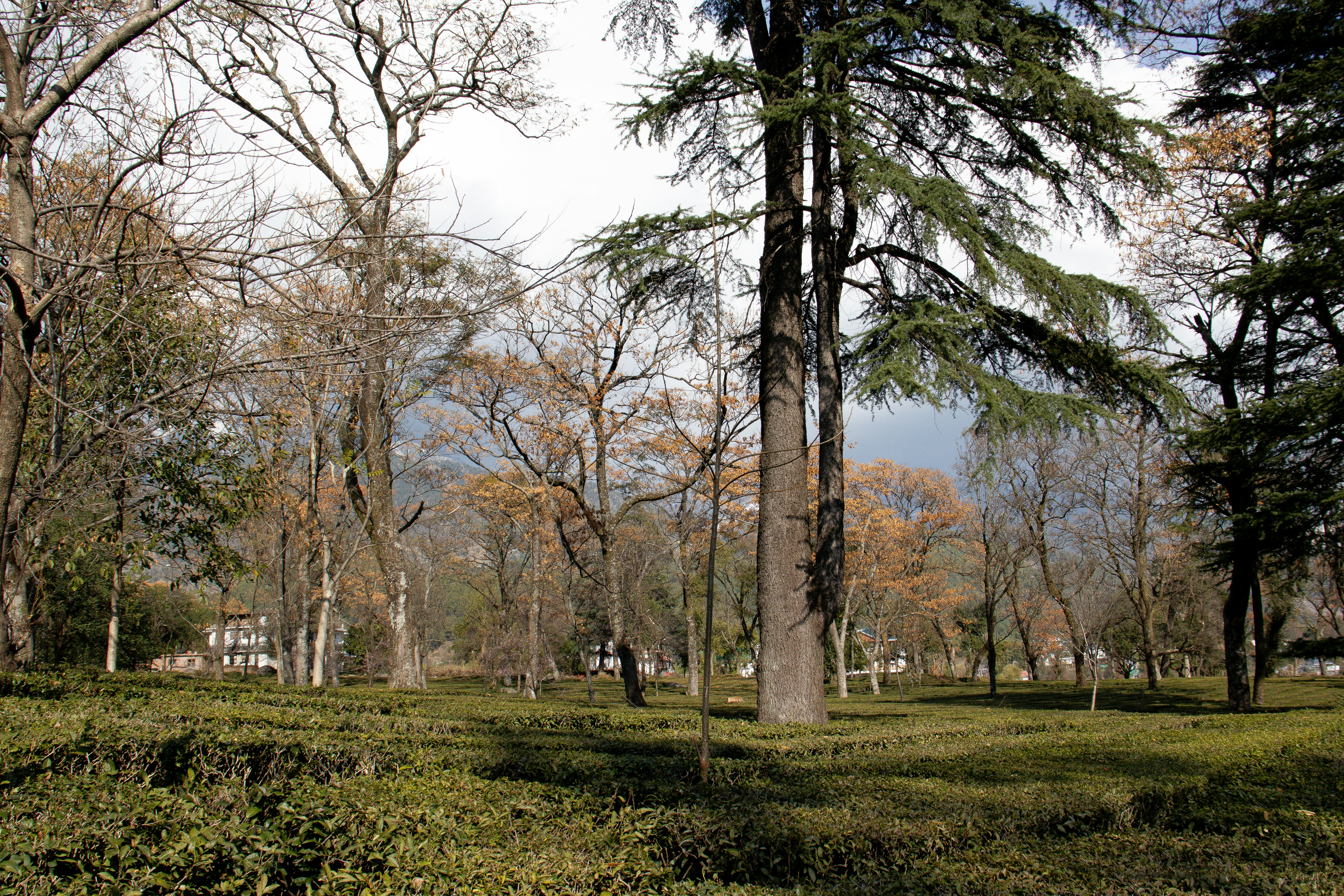 Photo by akshat_jhingran