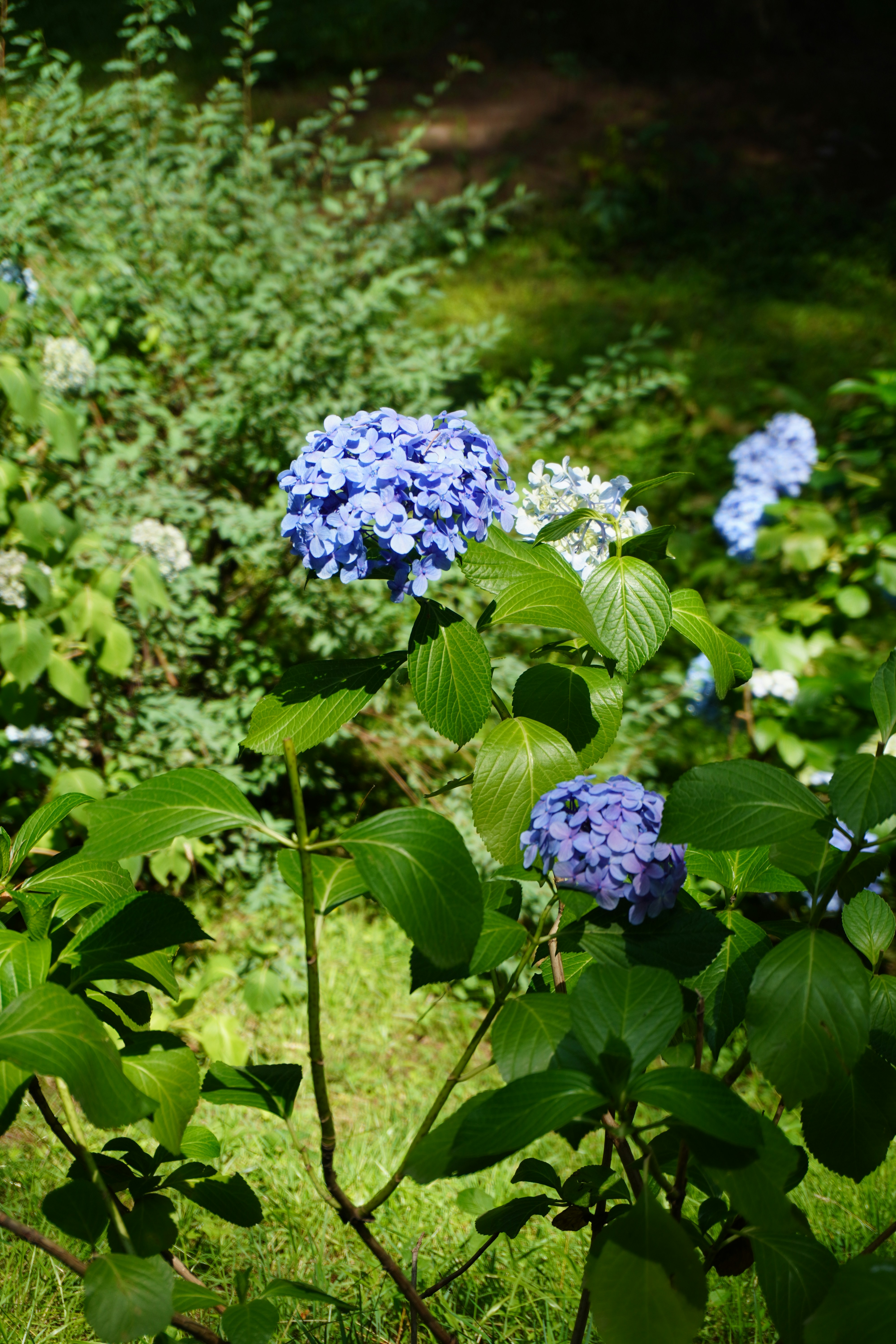 Photo by abhishektirkey