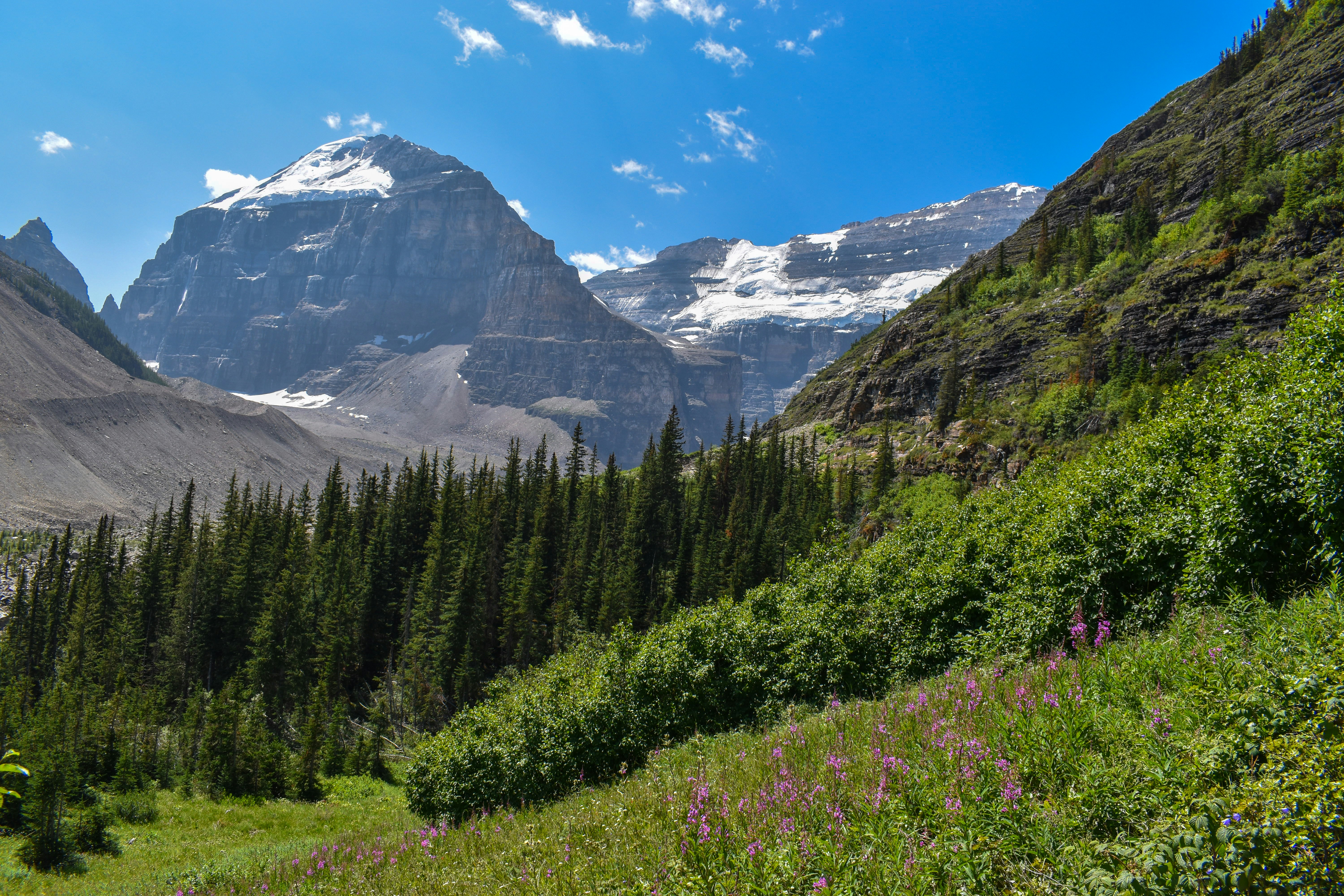 Photo by paigemason24