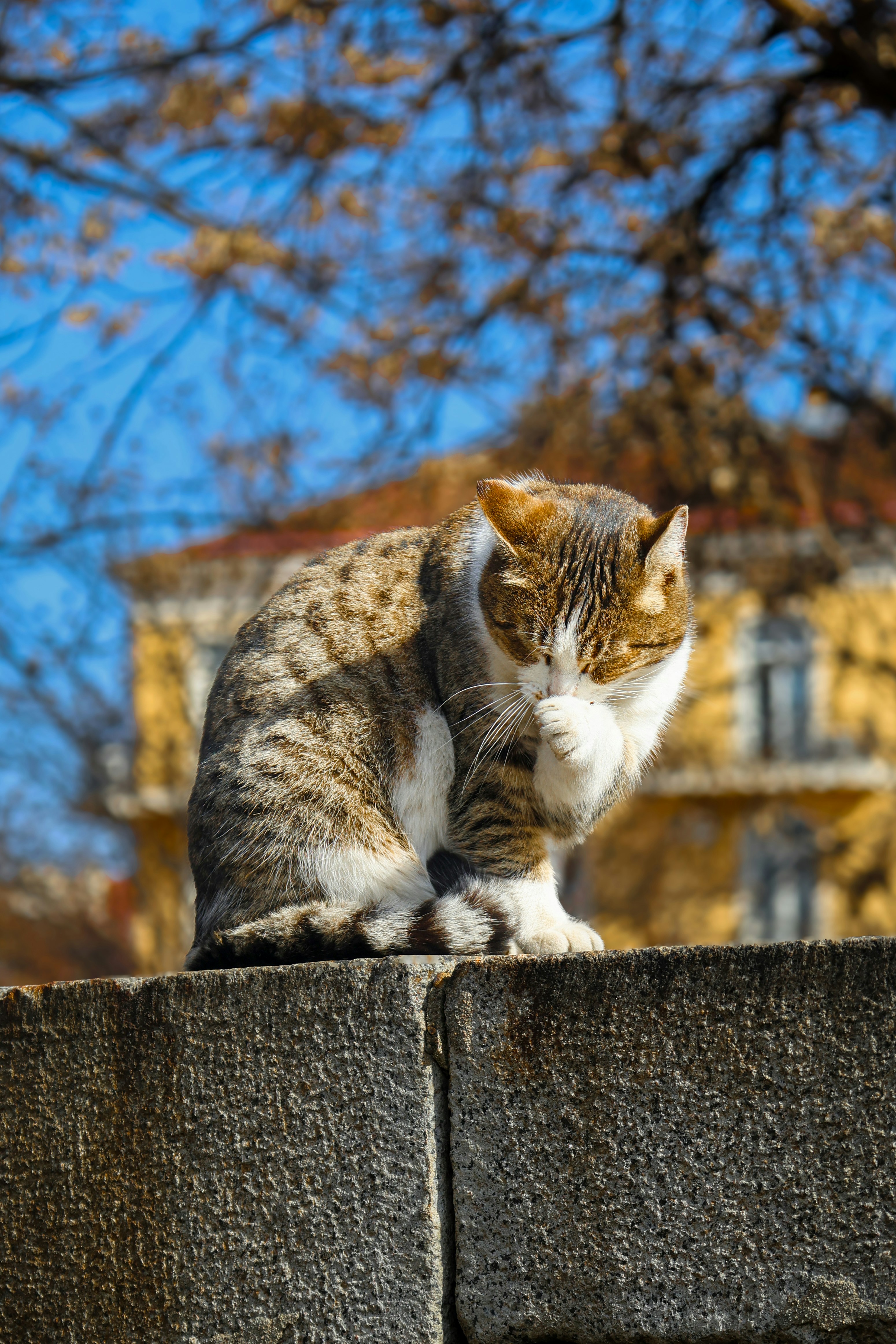 Photo by mydigitalpixel