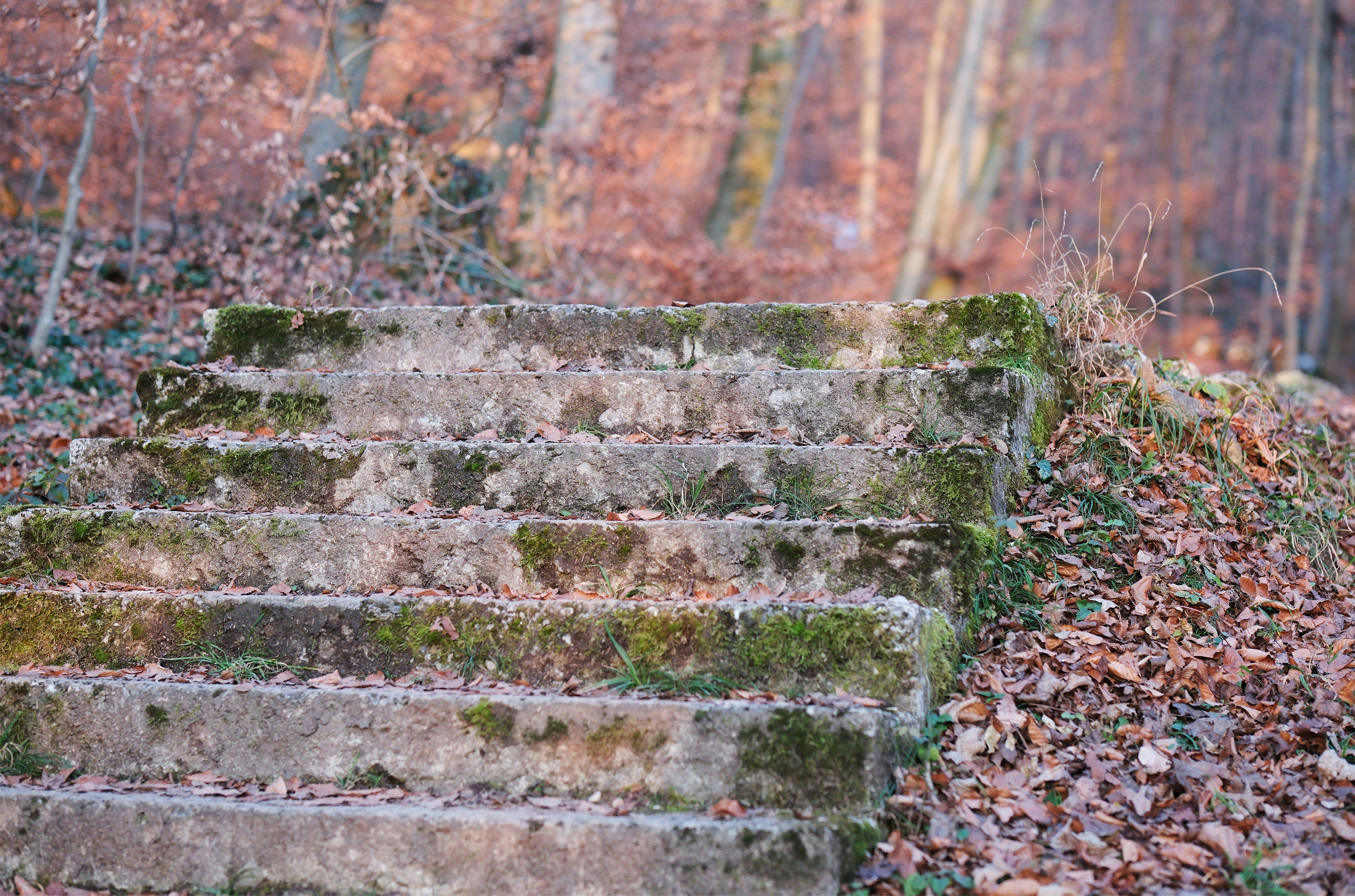 הוֹלְכִים וּמַדְחִיקִים שֶעַל גַּבֵּינוּ הֻצְּב 1