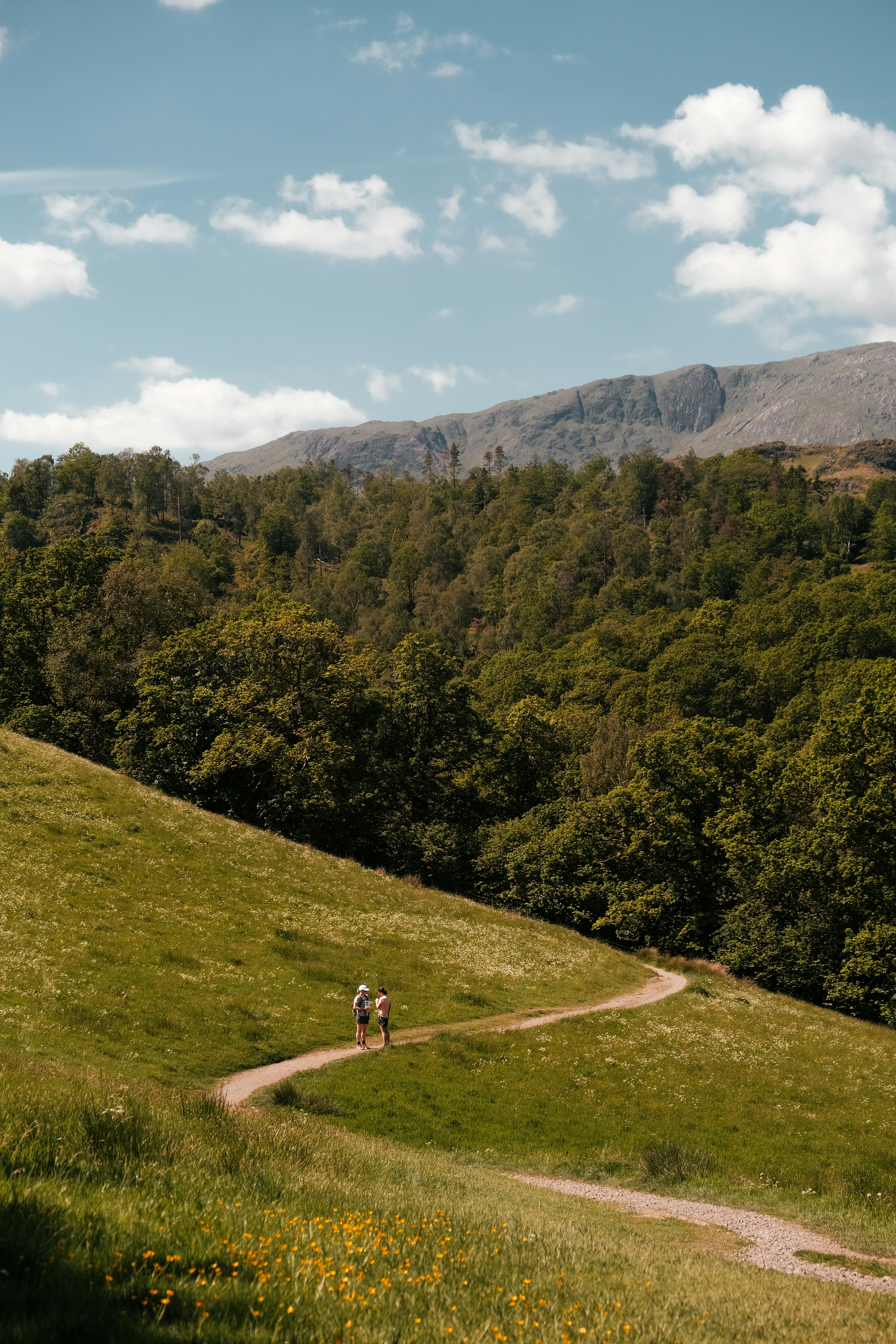 Ein paar Leute fahren mit dem Fahrrad eine unbefestigte Straße hinunter