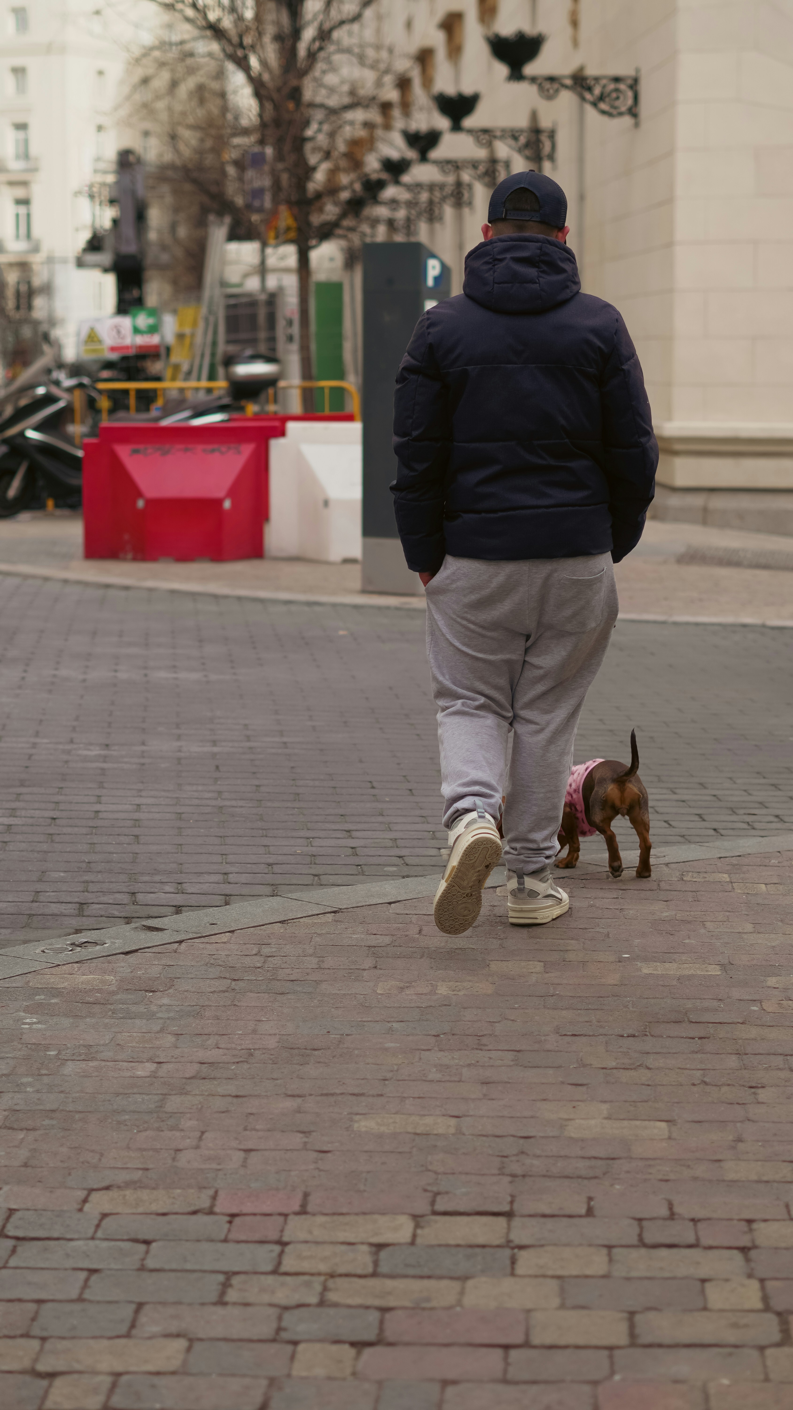 A man walking a dog down a street