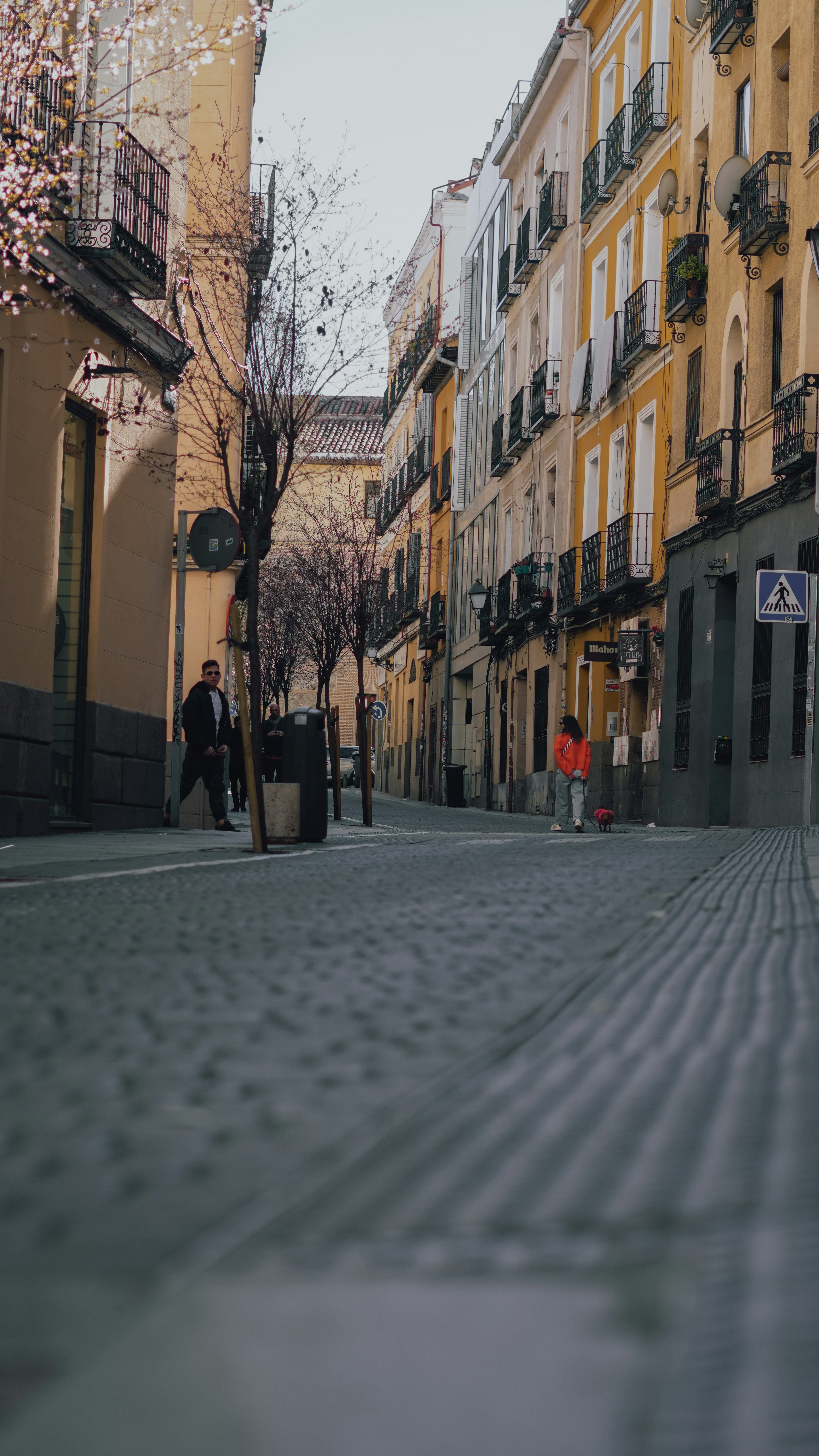 Frequently Asked Questions