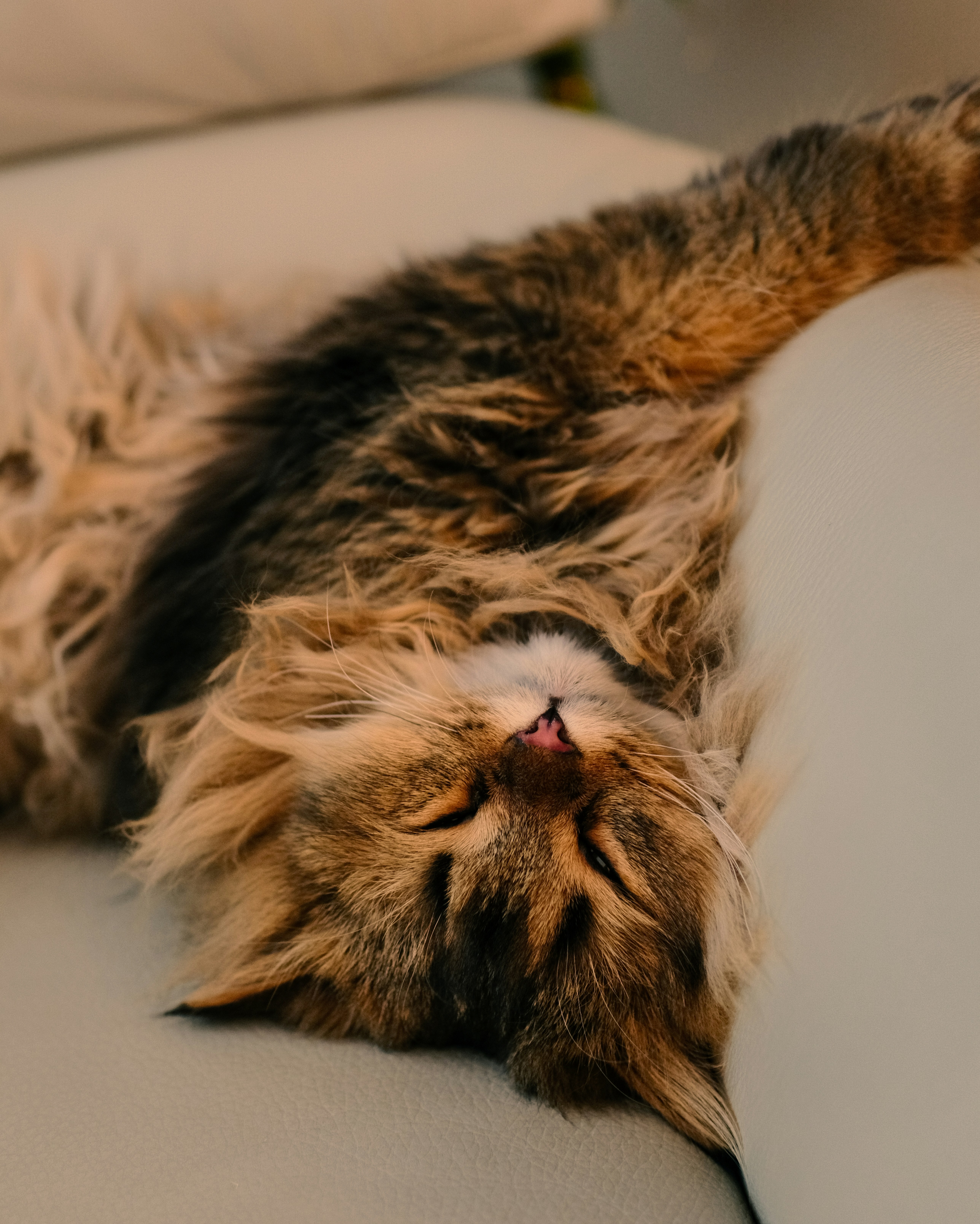 Photo by farnaz________