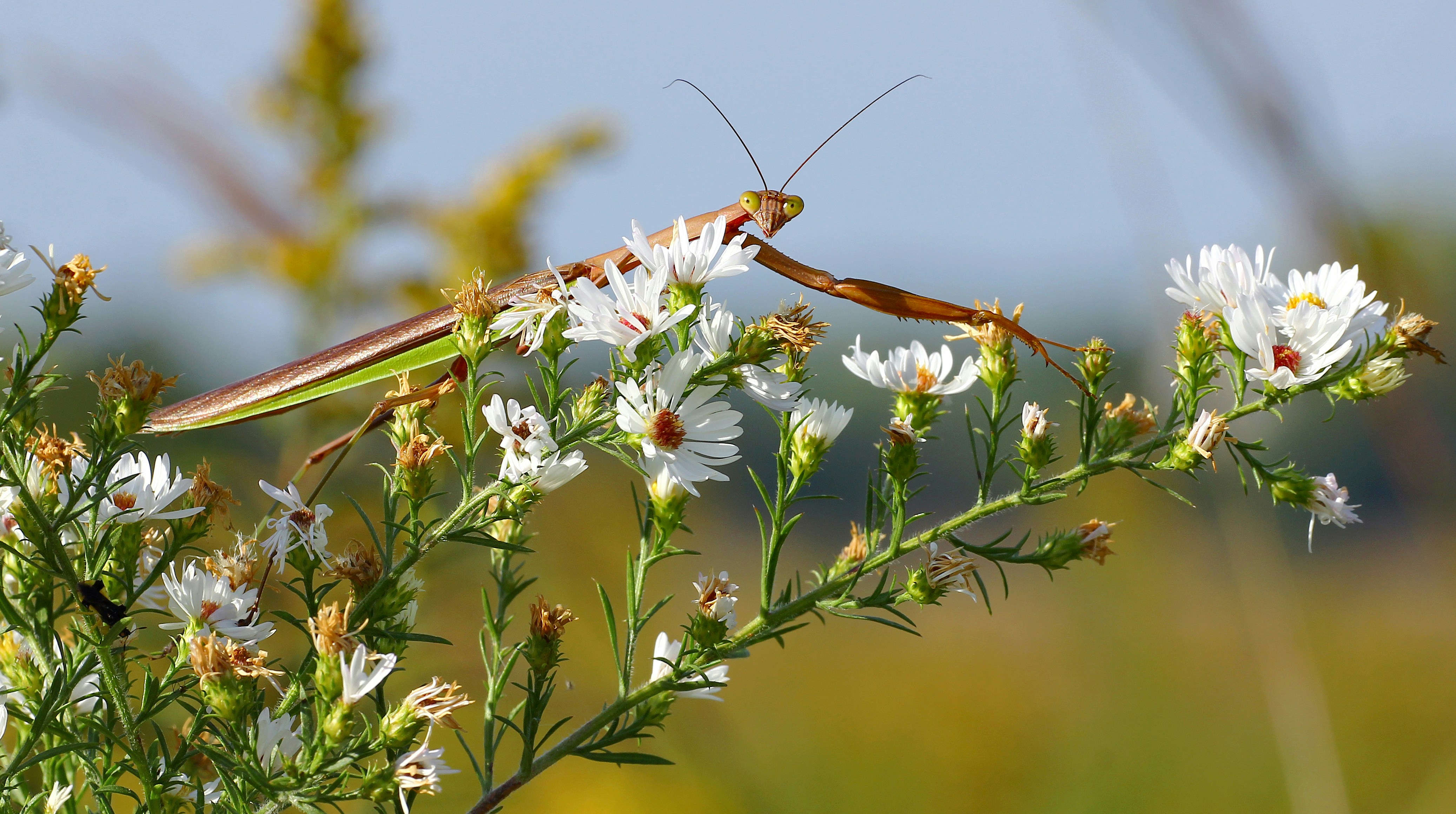 Photo by telliottmbamsc