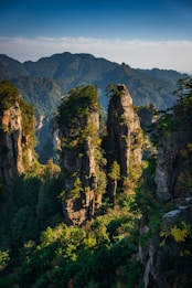 A scenic view of the mountains and trees
