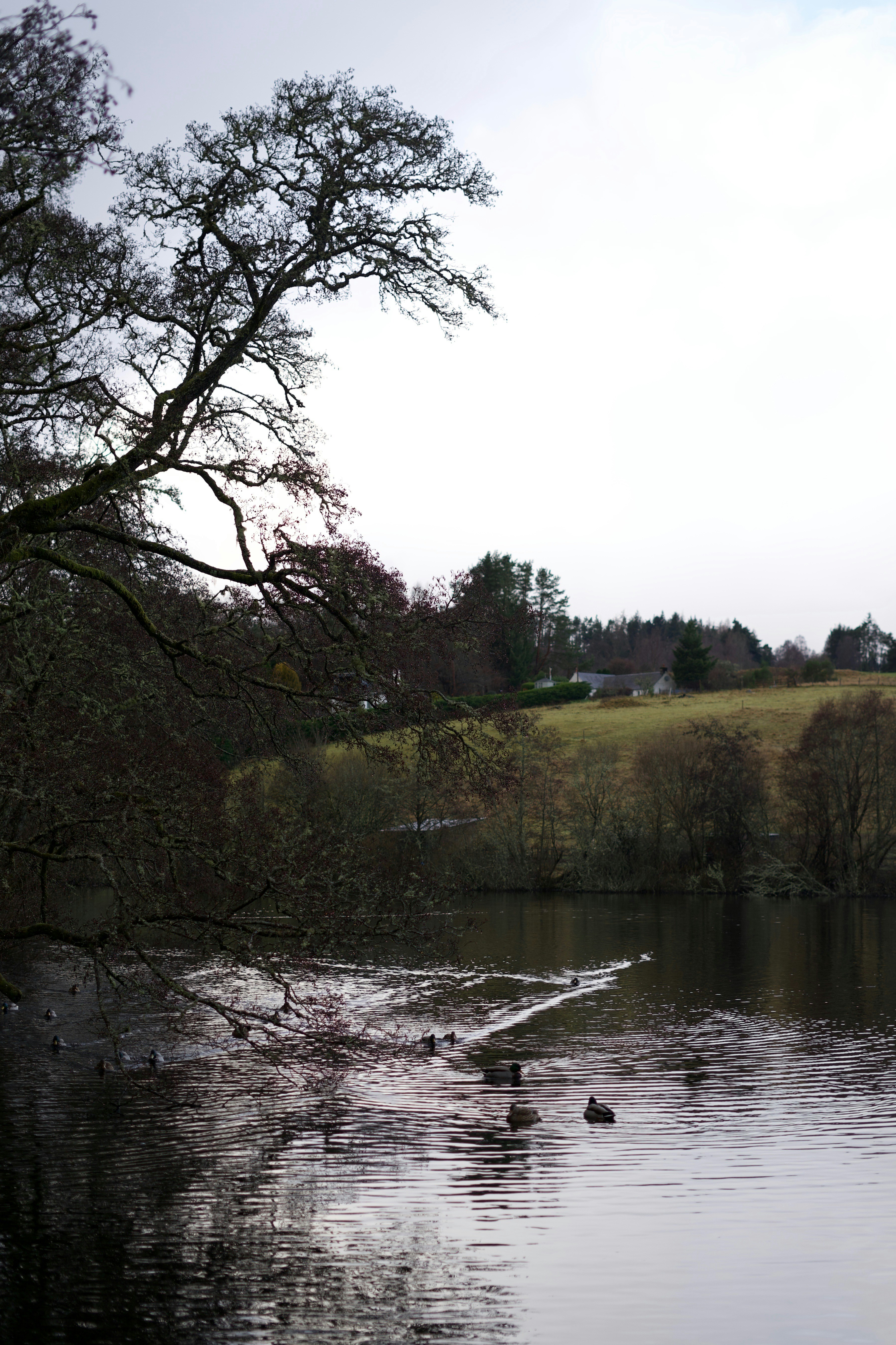 Photo by kris_verityamm