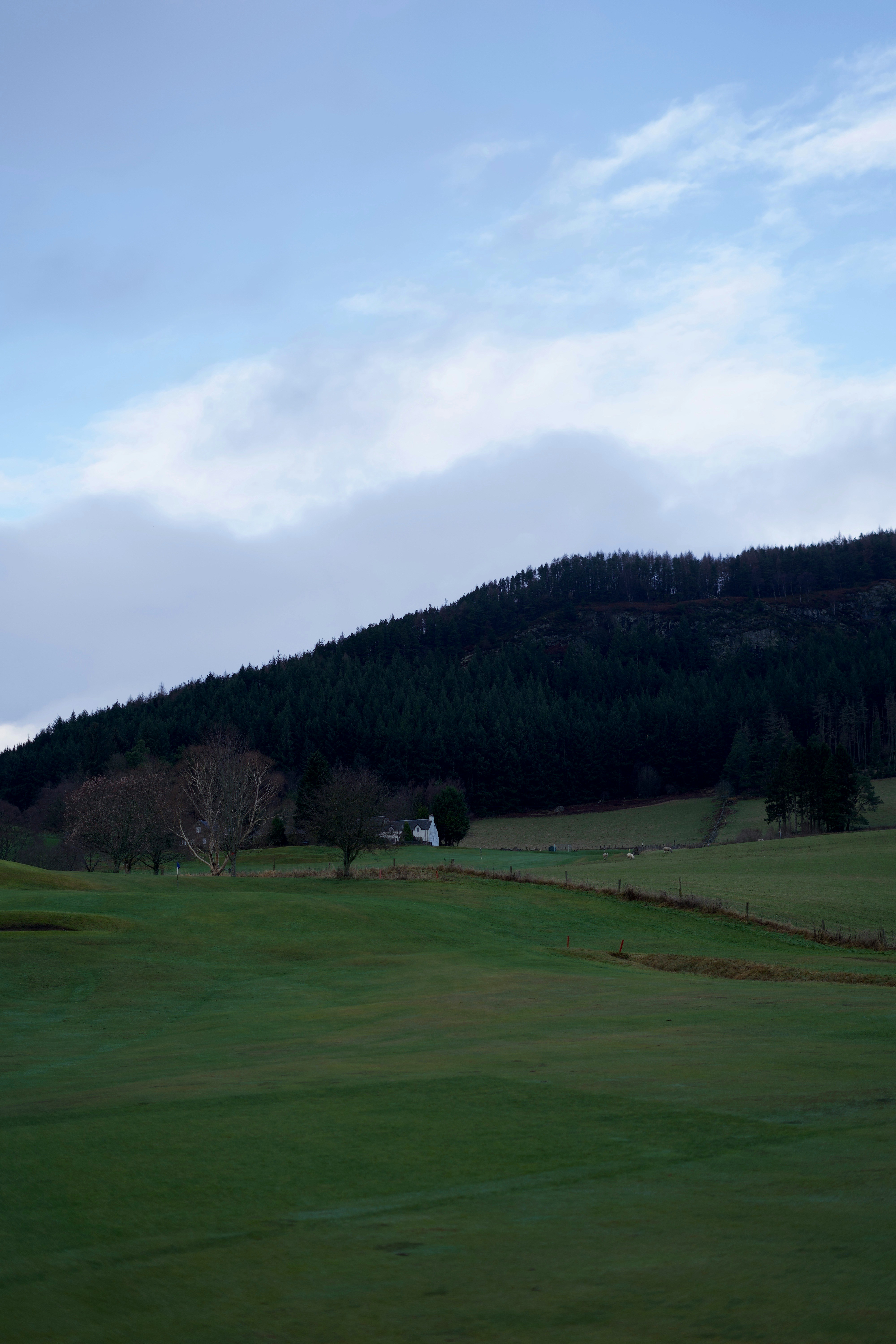 Photo by kris_verityamm