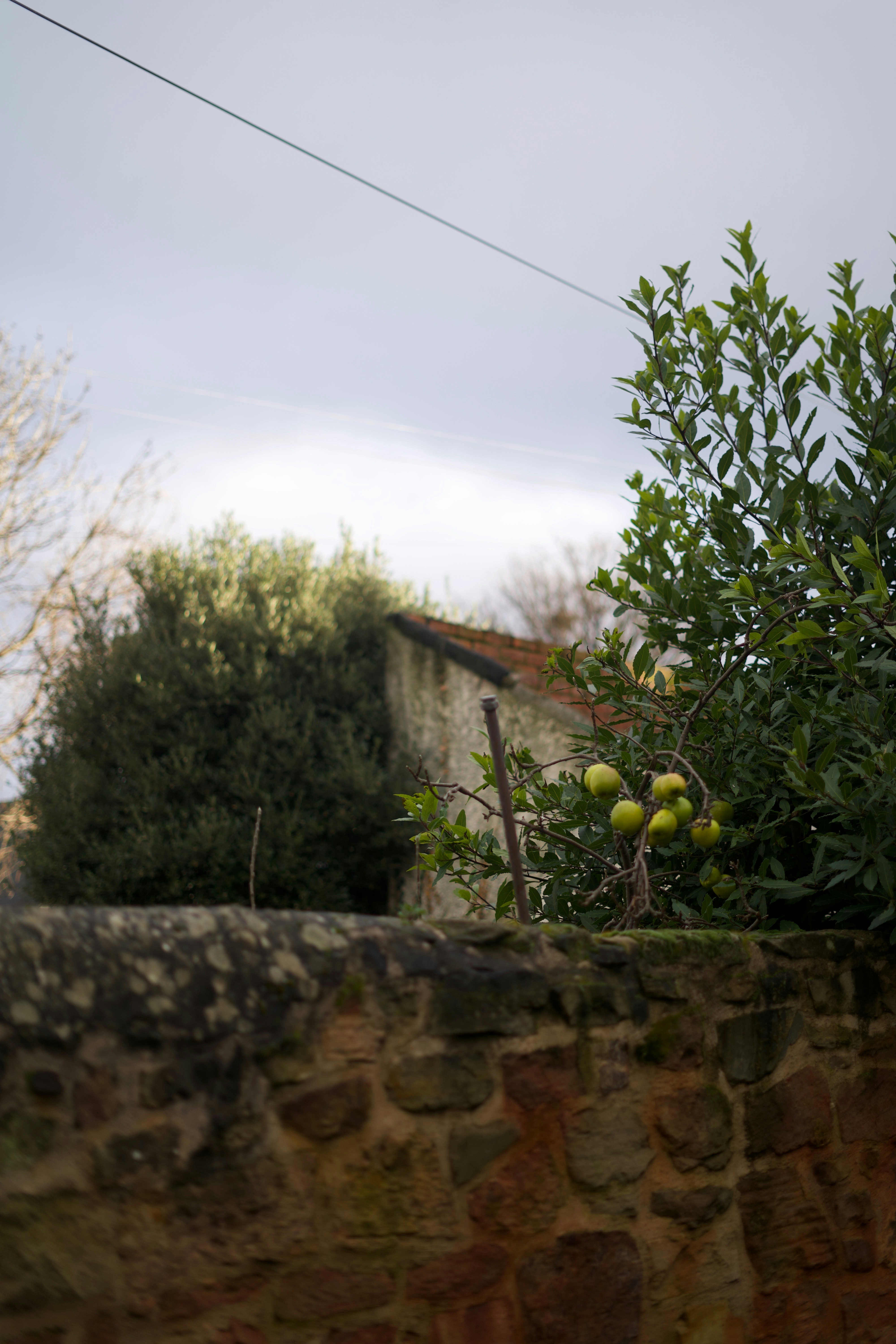 Photo by kris_verityamm