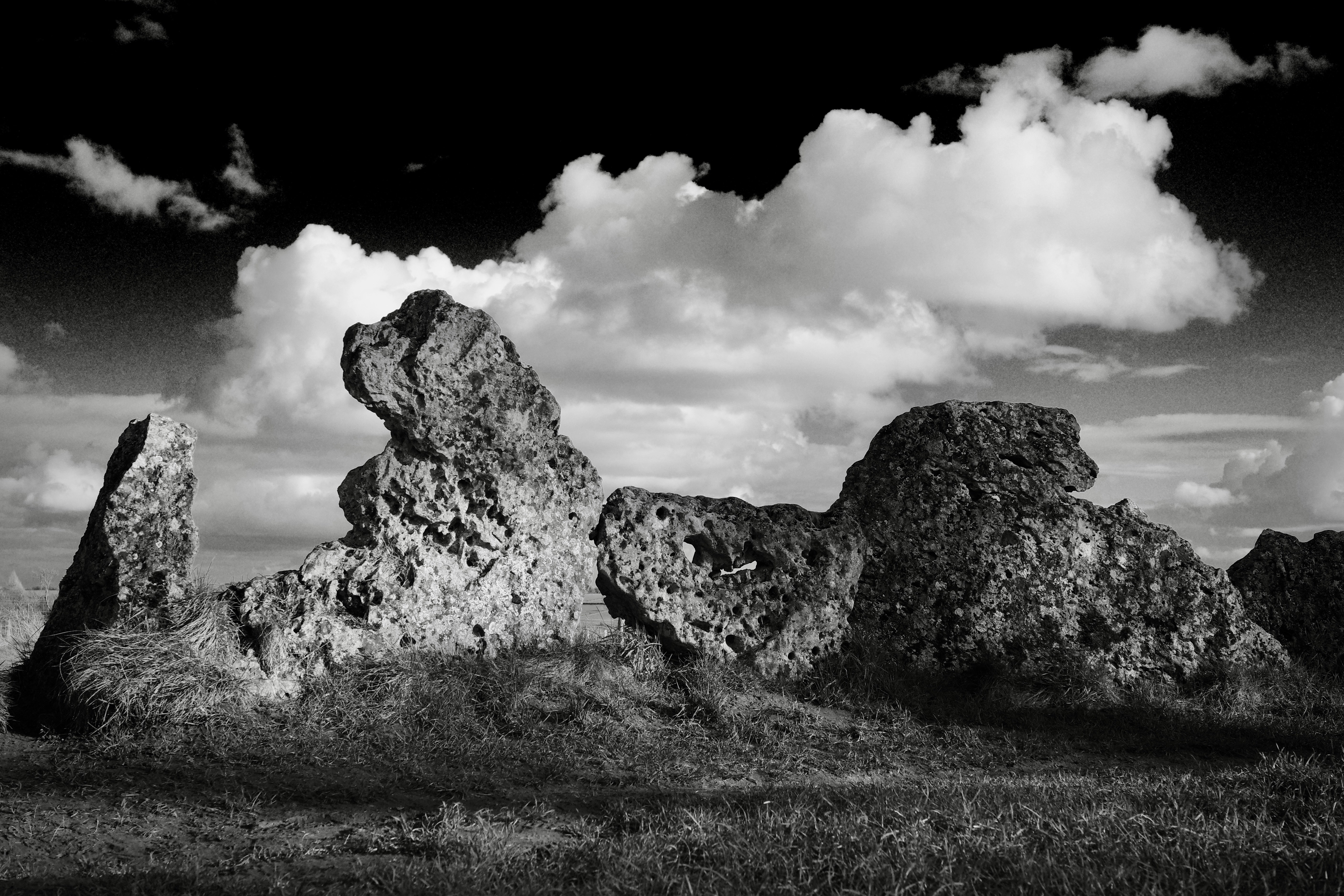 Photo by tomasrobertson