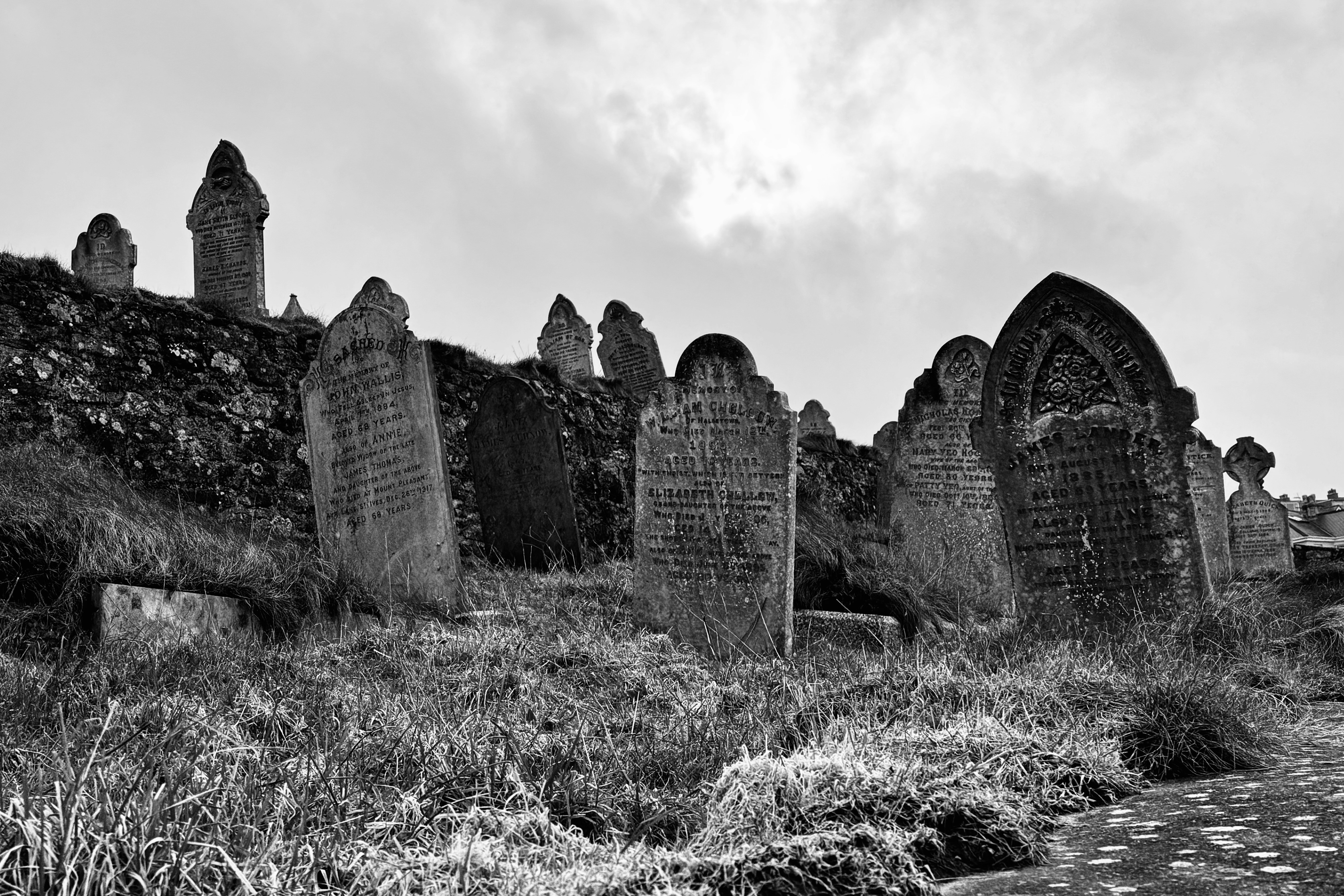 Photo by tomasrobertson