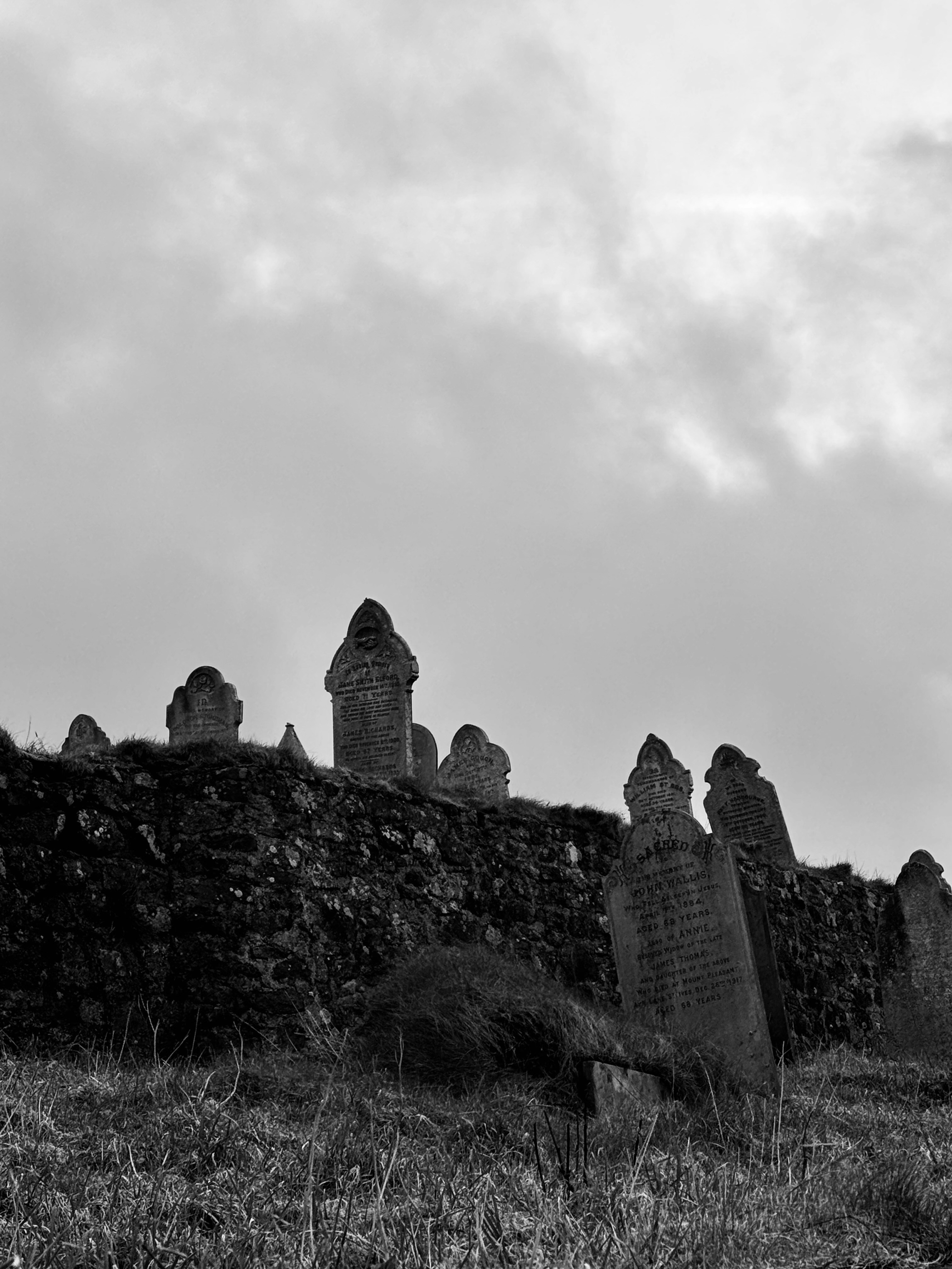 Photo by tomasrobertson