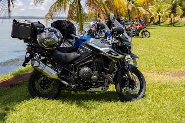 A group of motorcycles parked next to a body of water