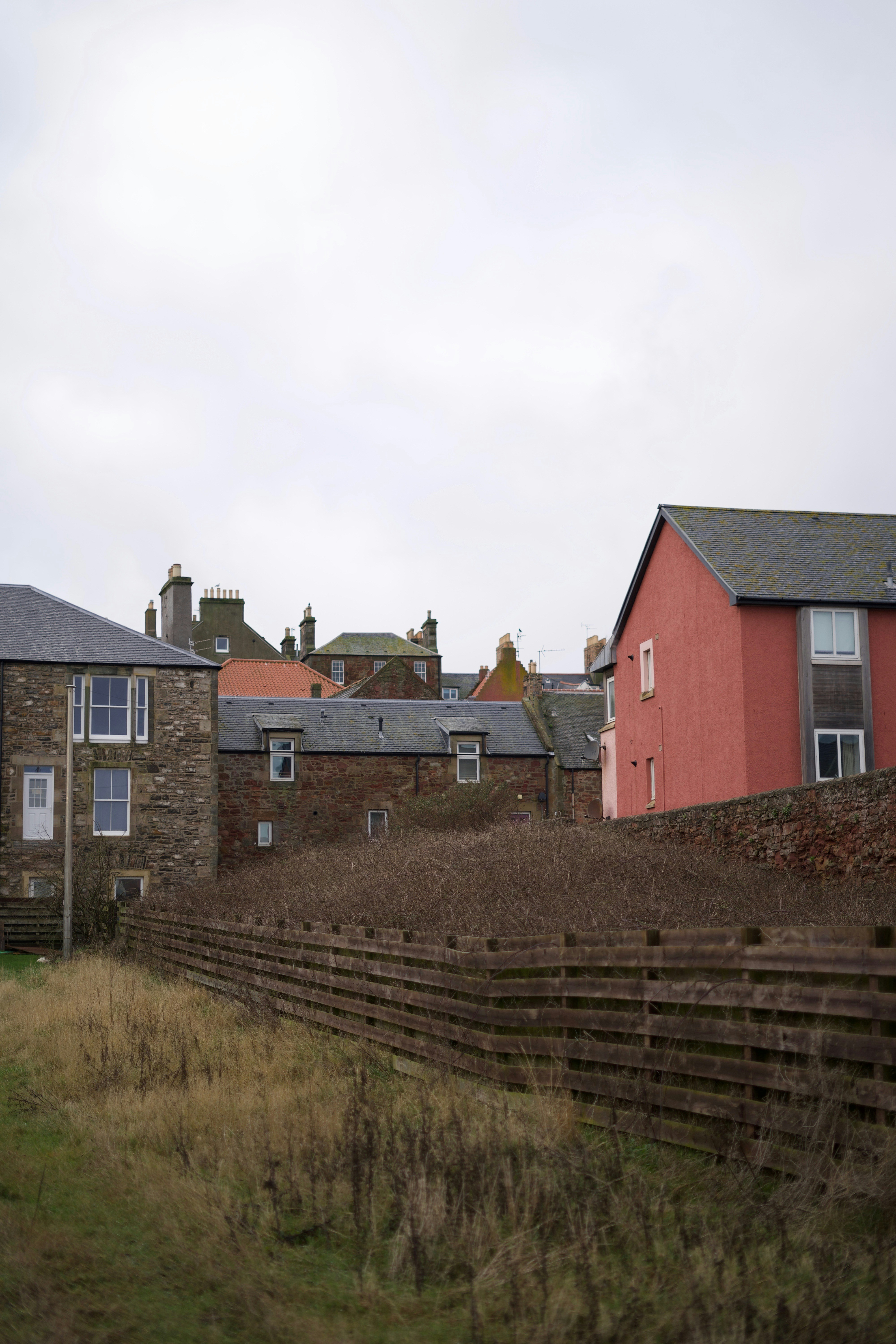 Photo by kris_verityamm