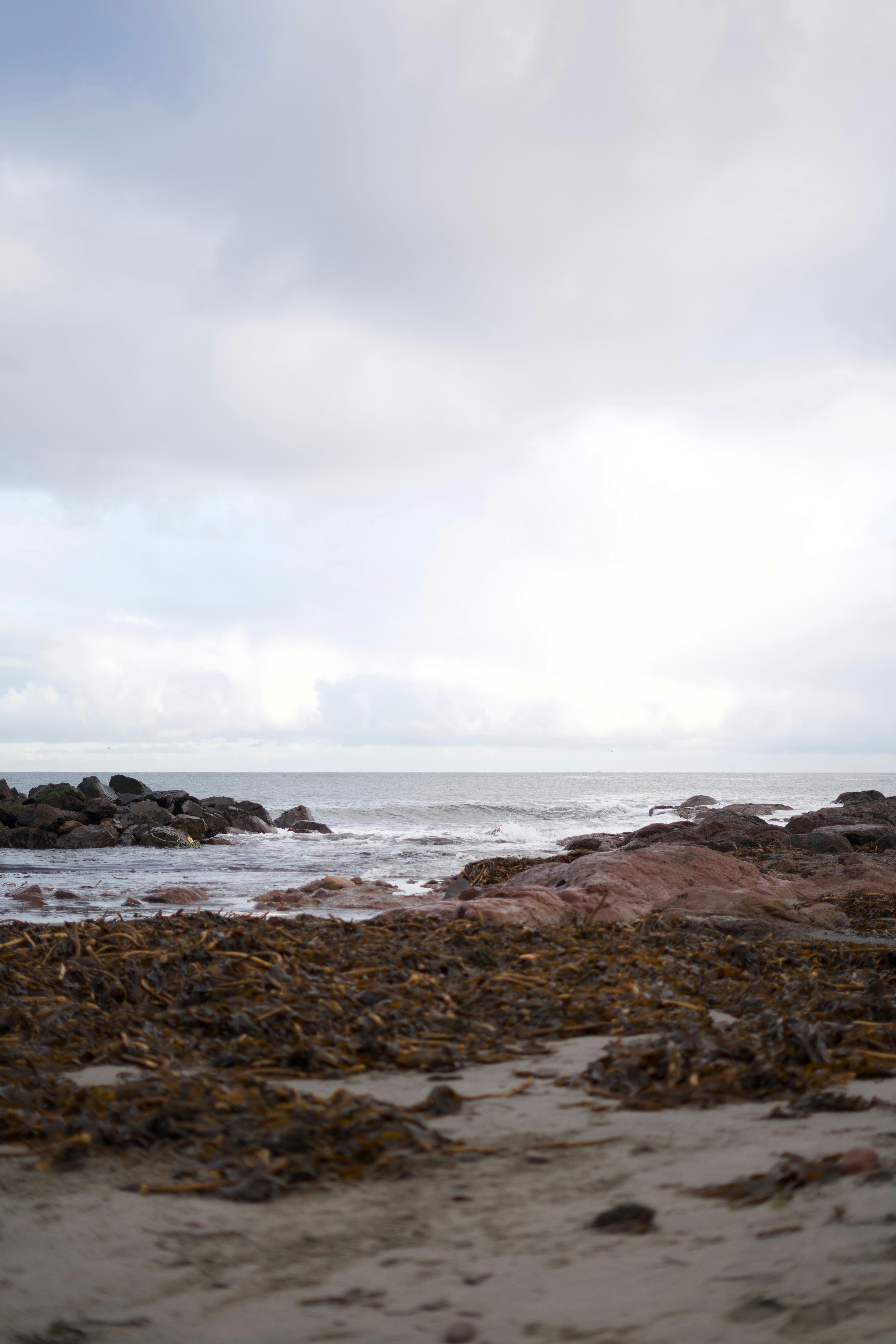 Photo by kris_verityamm