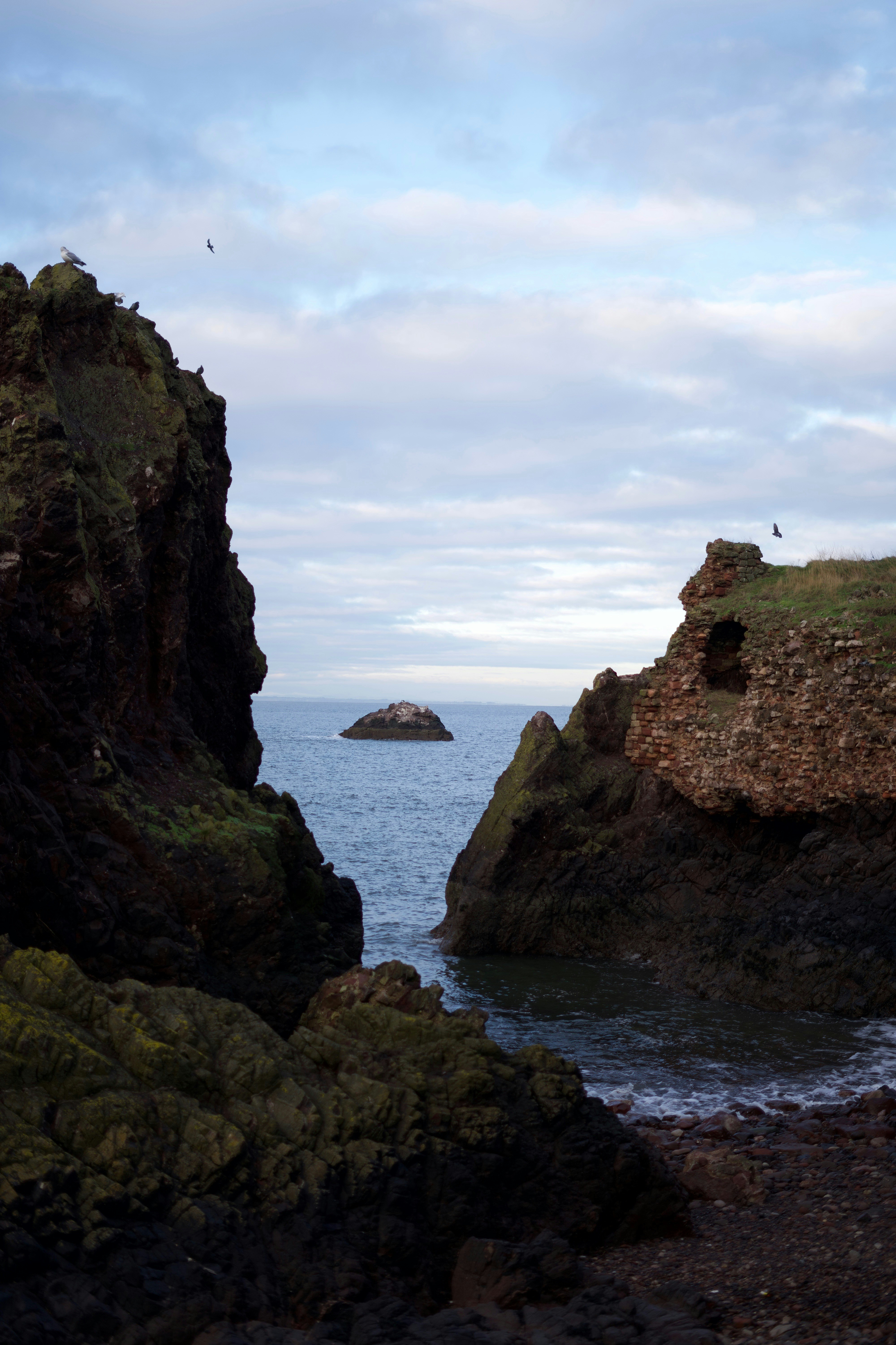 Photo by kris_verityamm