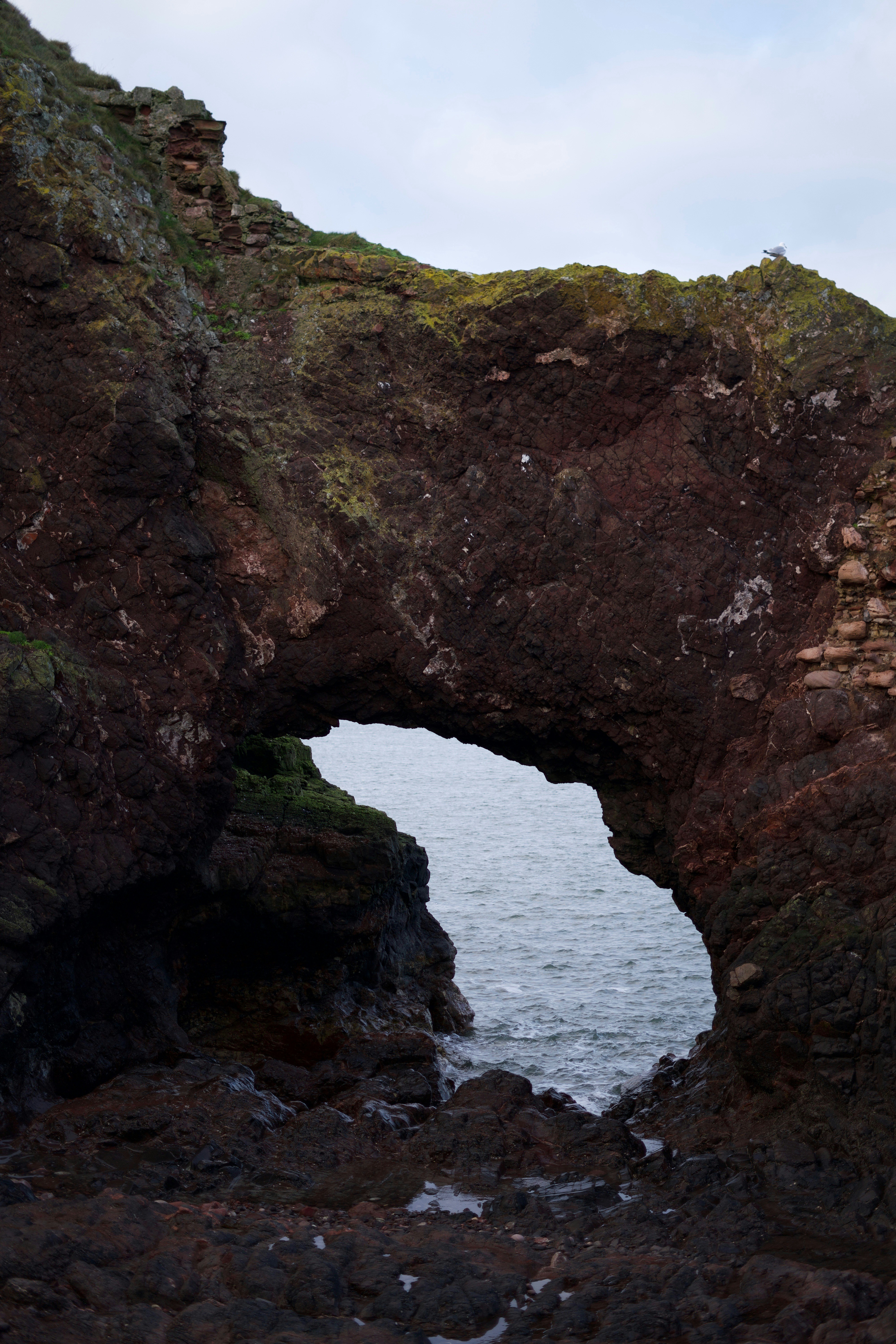 Photo by kris_verityamm