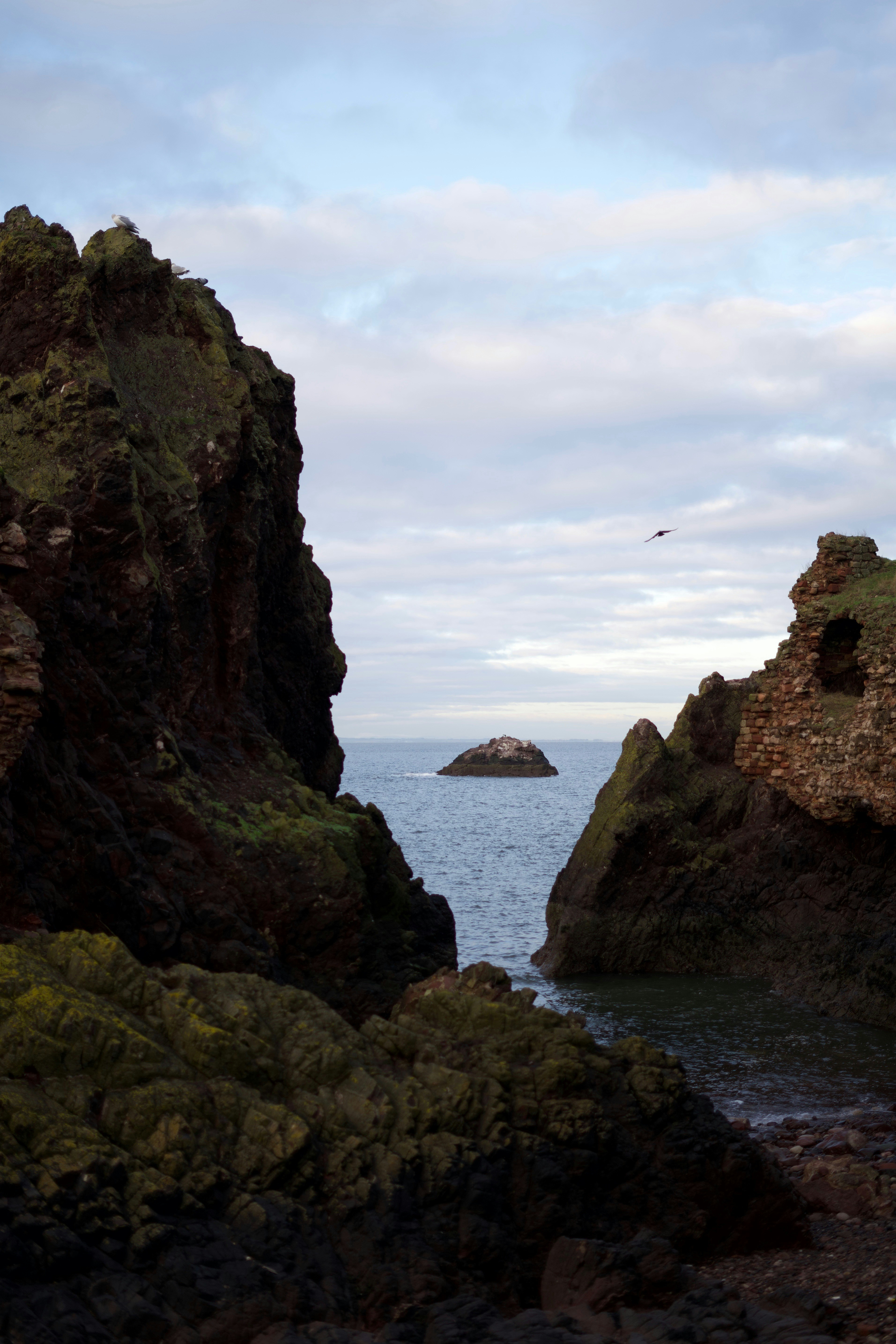 Photo by kris_verityamm