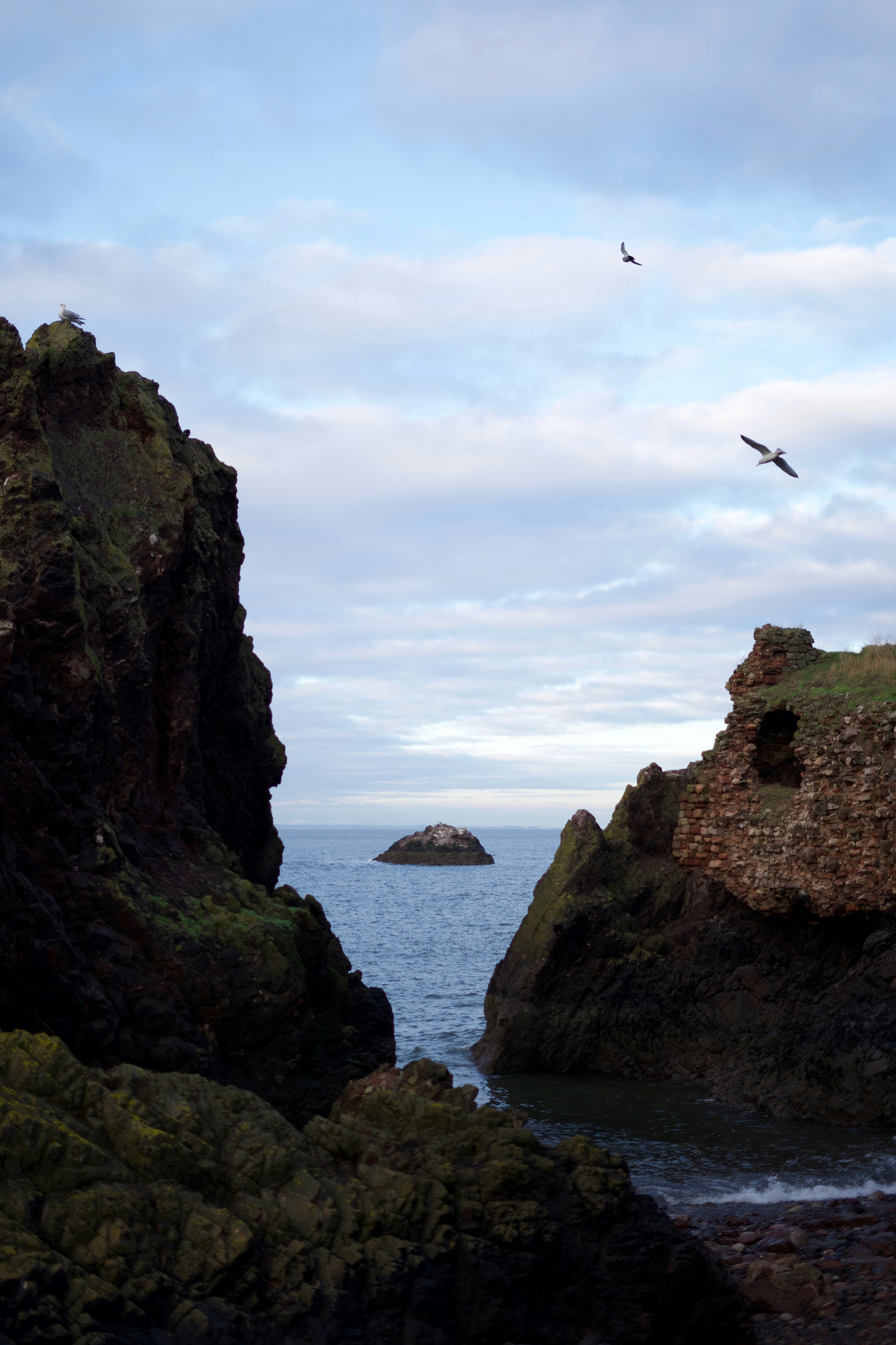 Photo by kris_verityamm