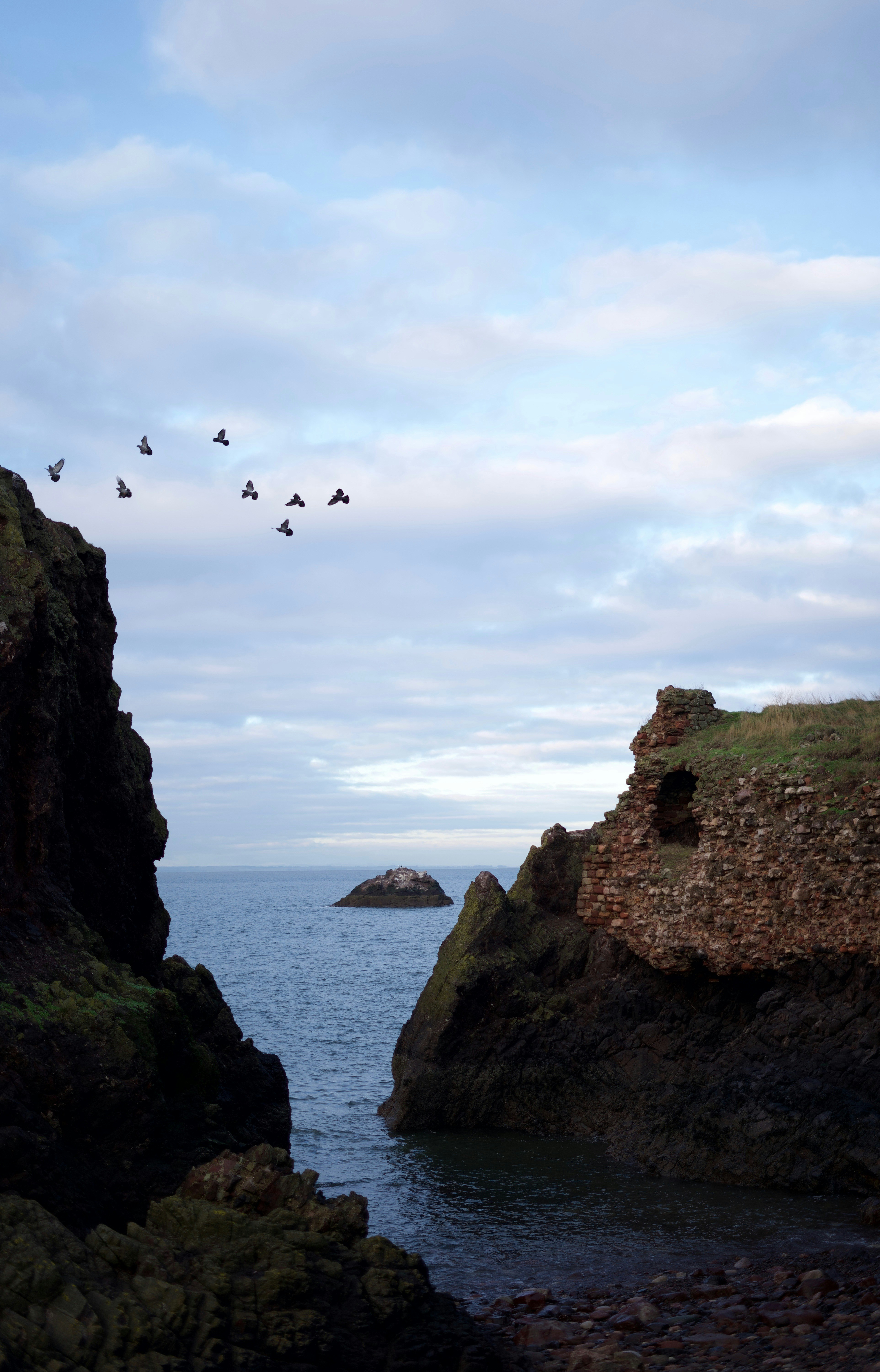 Photo by kris_verityamm